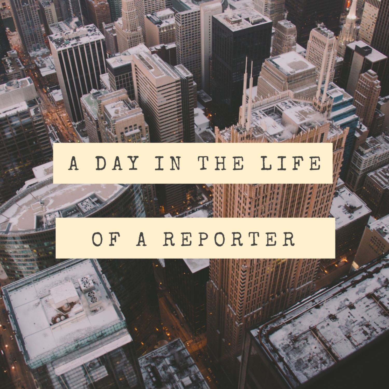A Day In The Life Of A Reporter