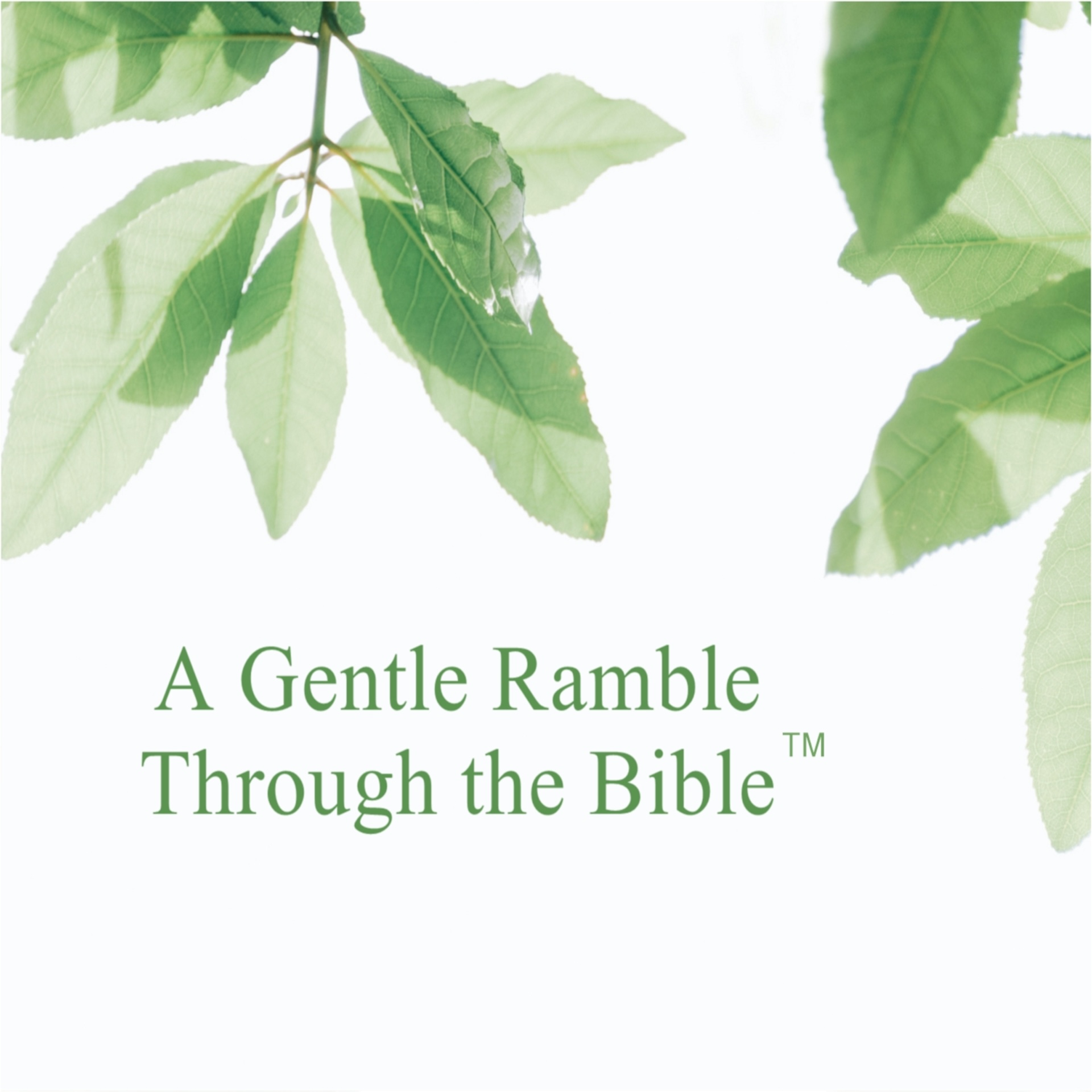 A Gentle Ramble Through the Bible - Chronologically podcast artwork