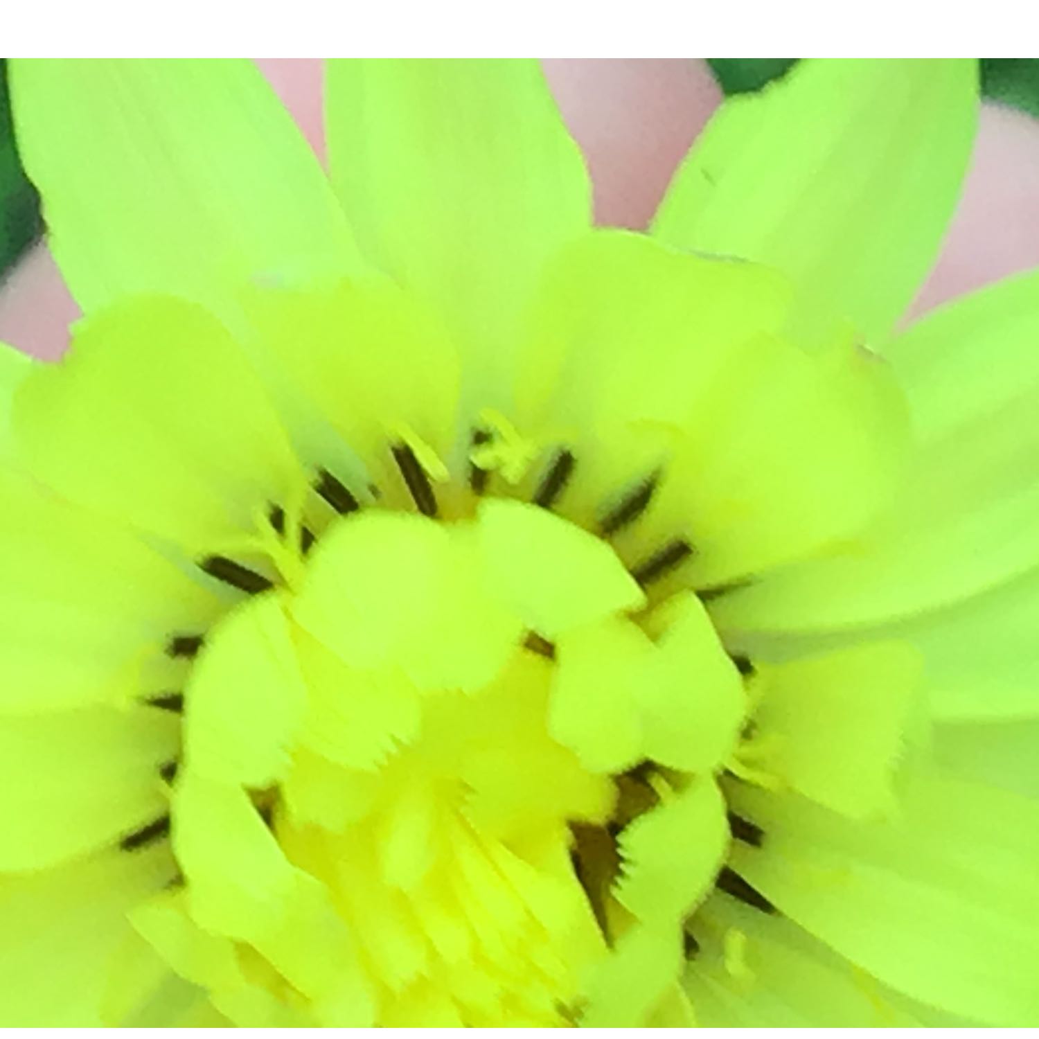 A good day for CHISME