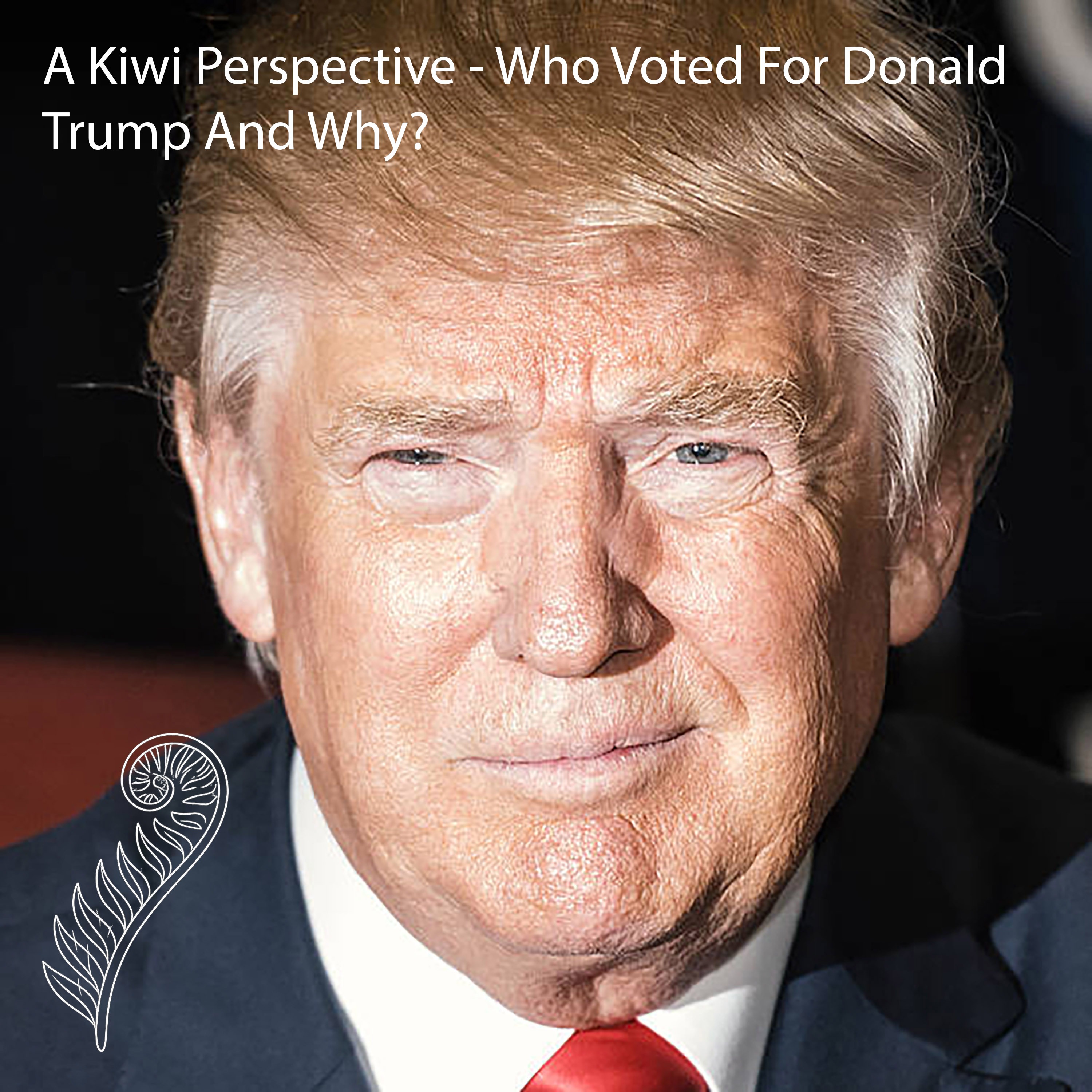 A Kiwi Perspective