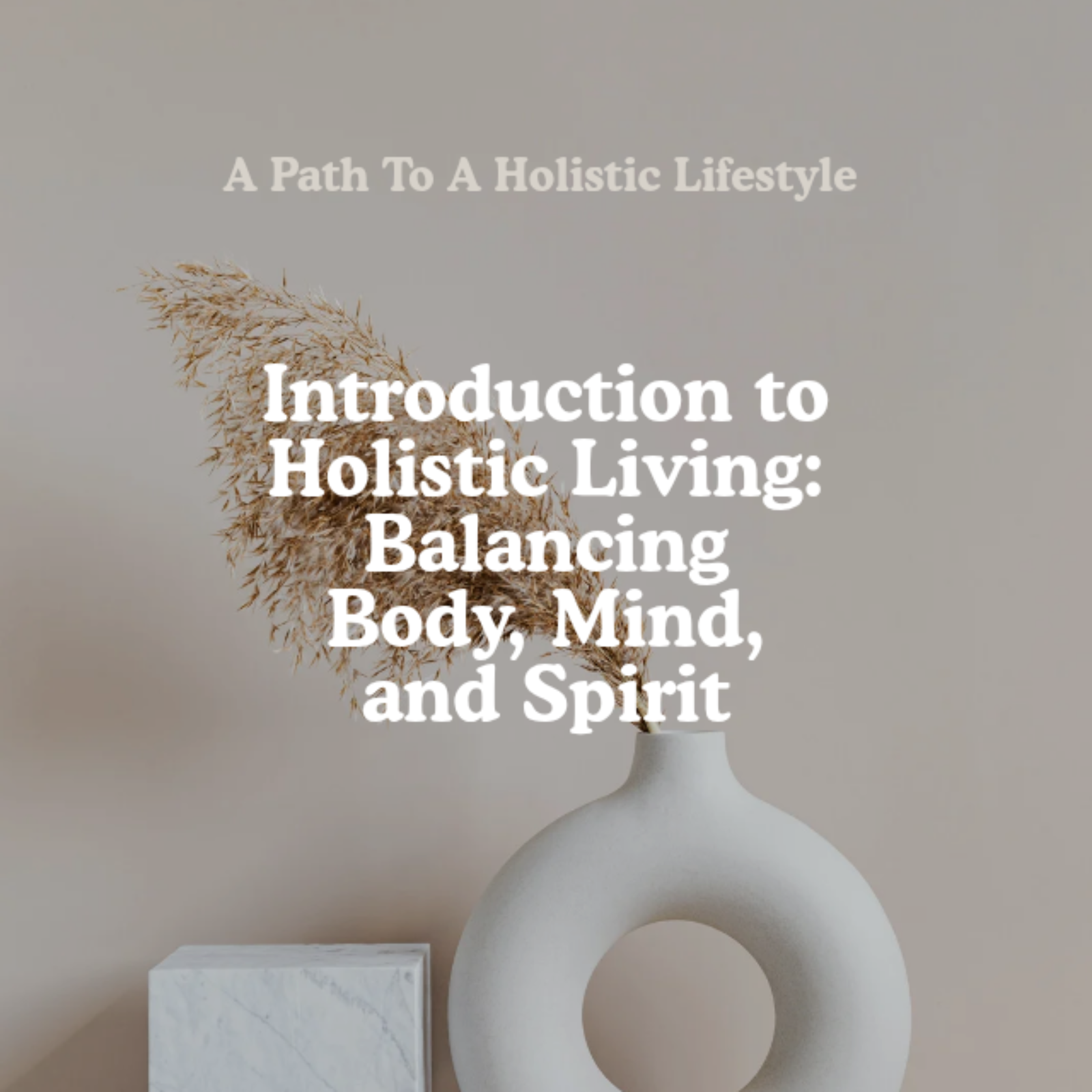 Introduction to Holistic Living: Balancing Body, Mind, and Spirit episode artwork