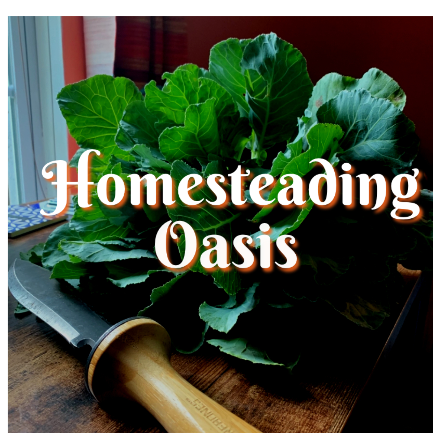 Homesteading Oasis