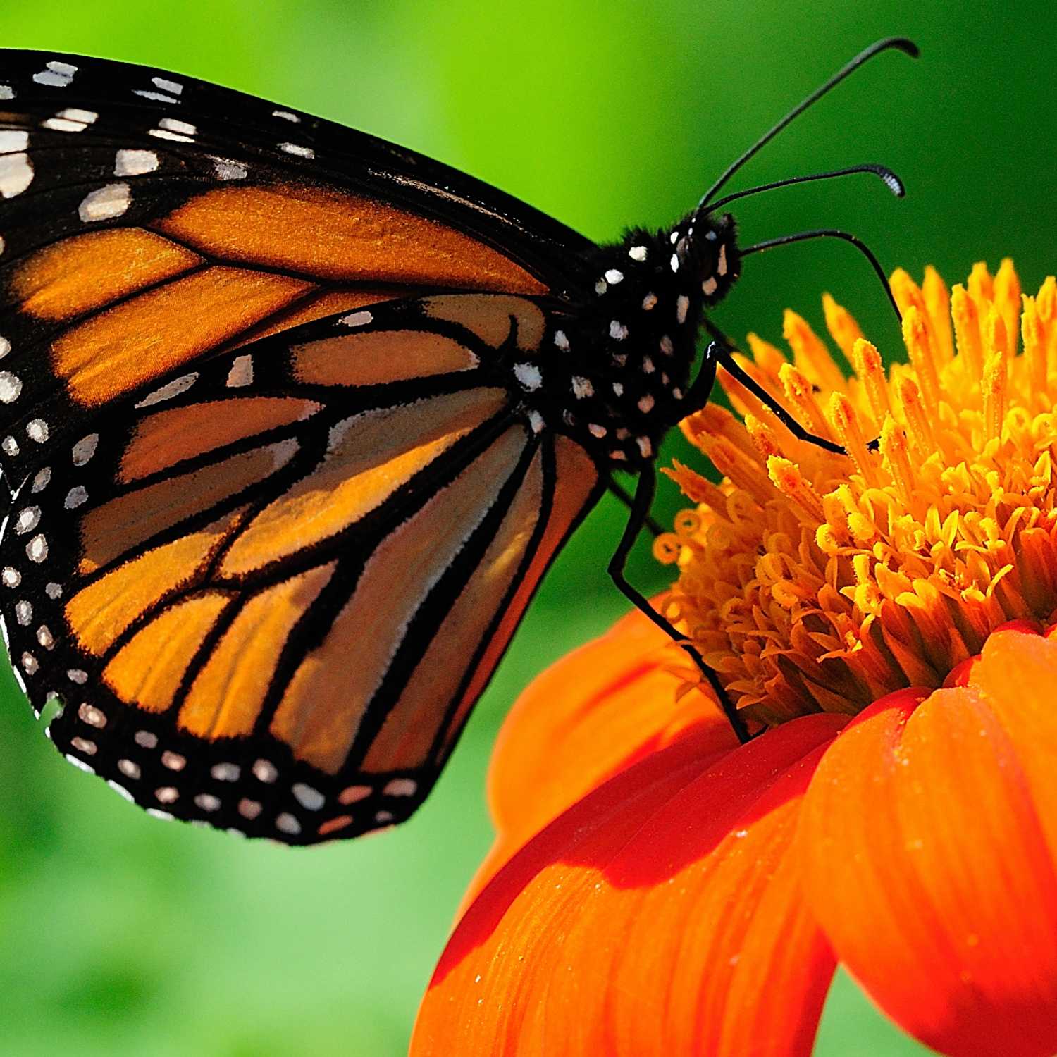 La alfabetización digital