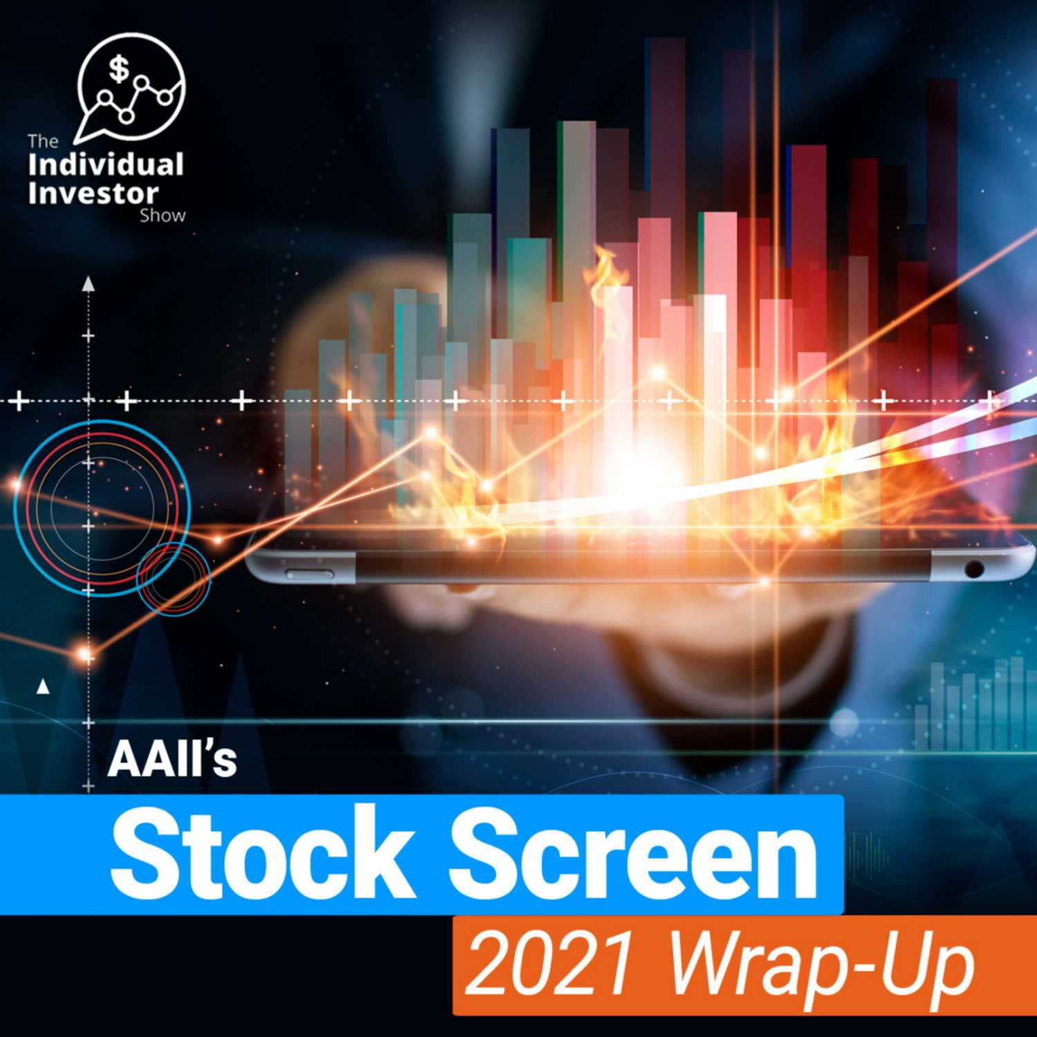 The Individual Investor Show