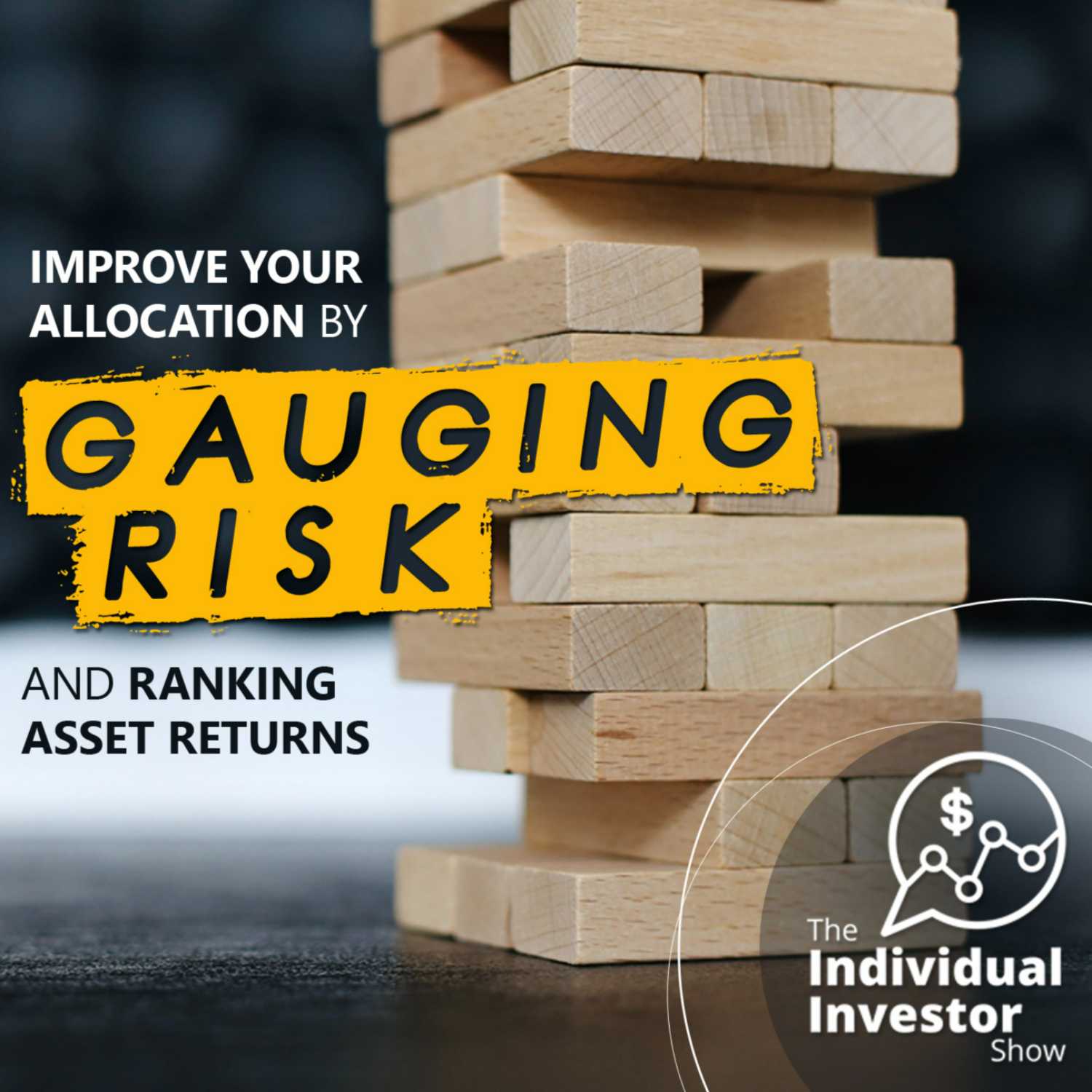 The Individual Investor Show