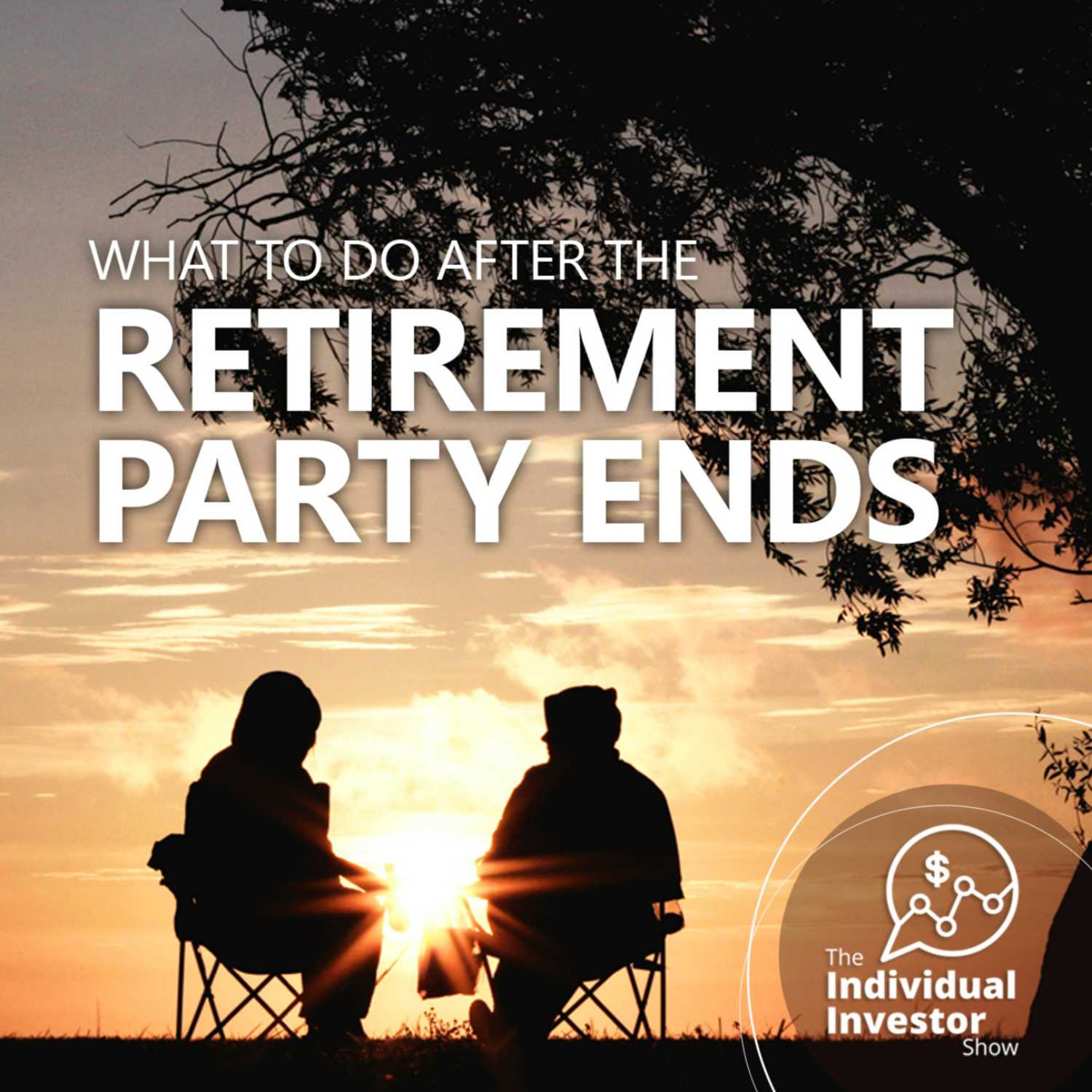 The Individual Investor Show