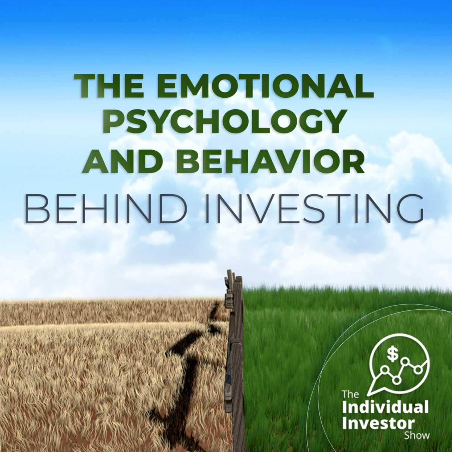 The Individual Investor Show