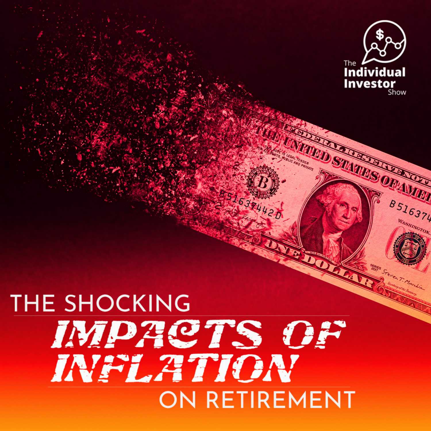 The Individual Investor Show