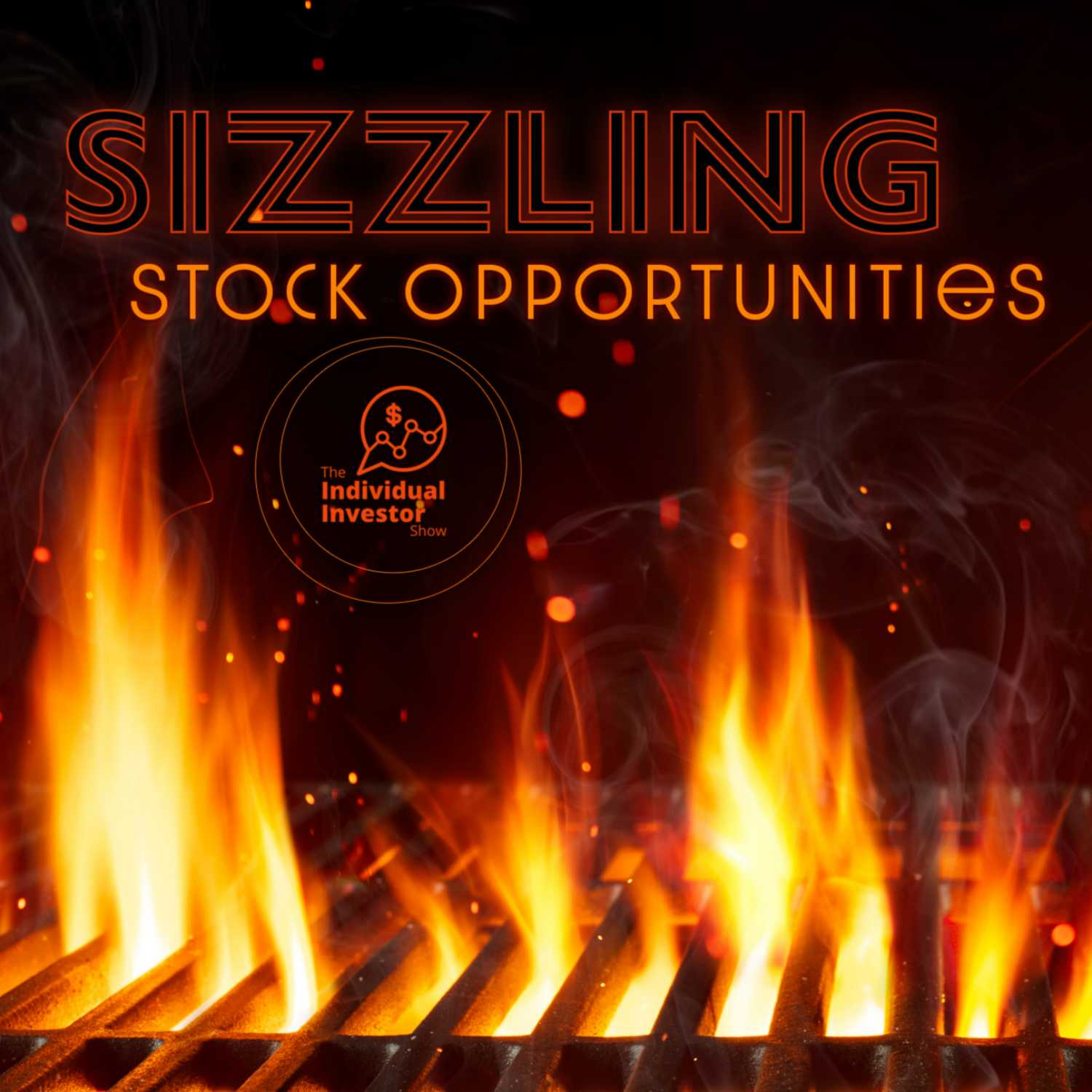 The Individual Investor Show