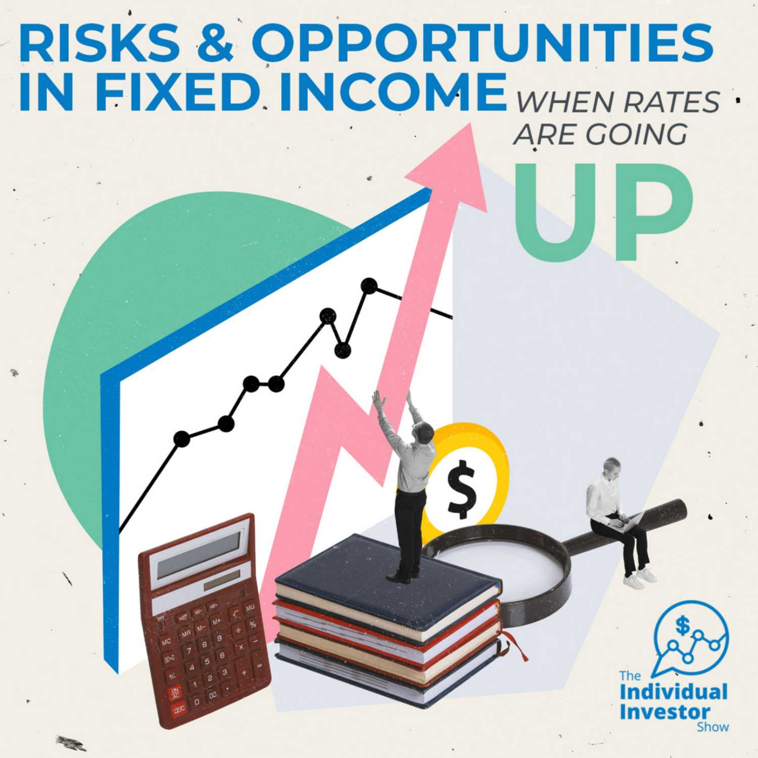 The Individual Investor Show