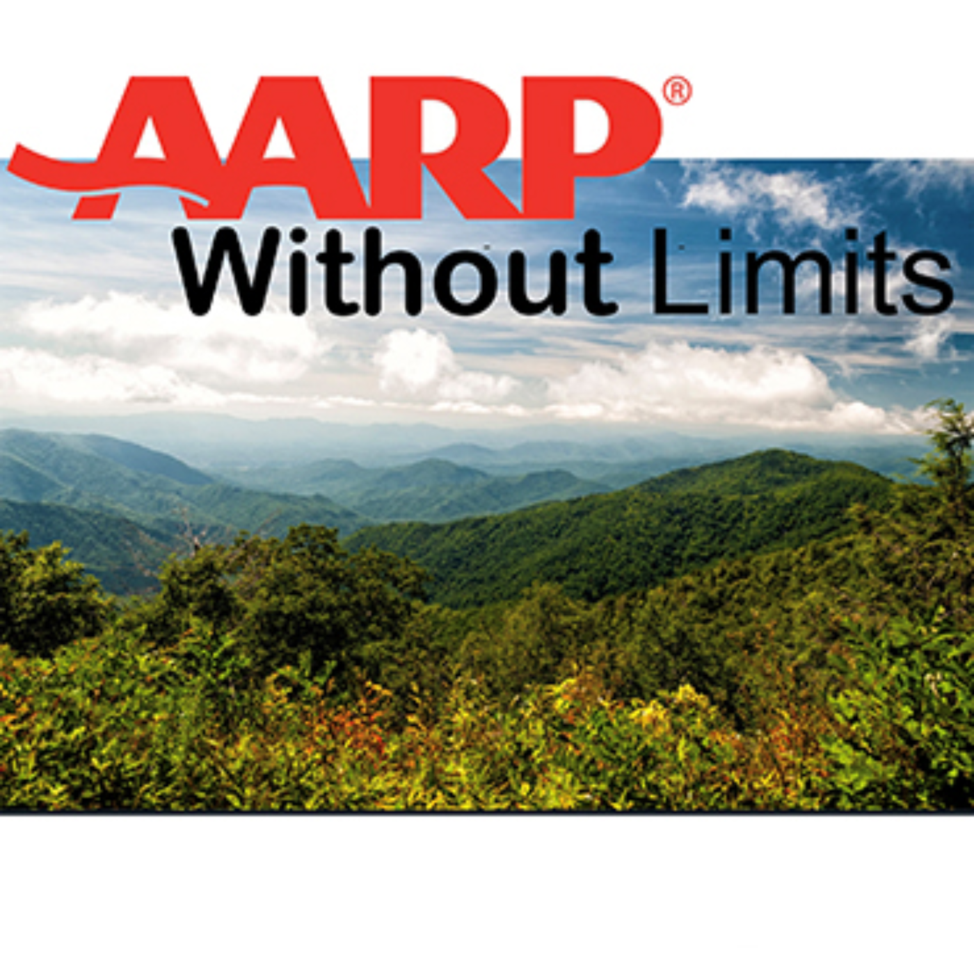 AARP Without Limits