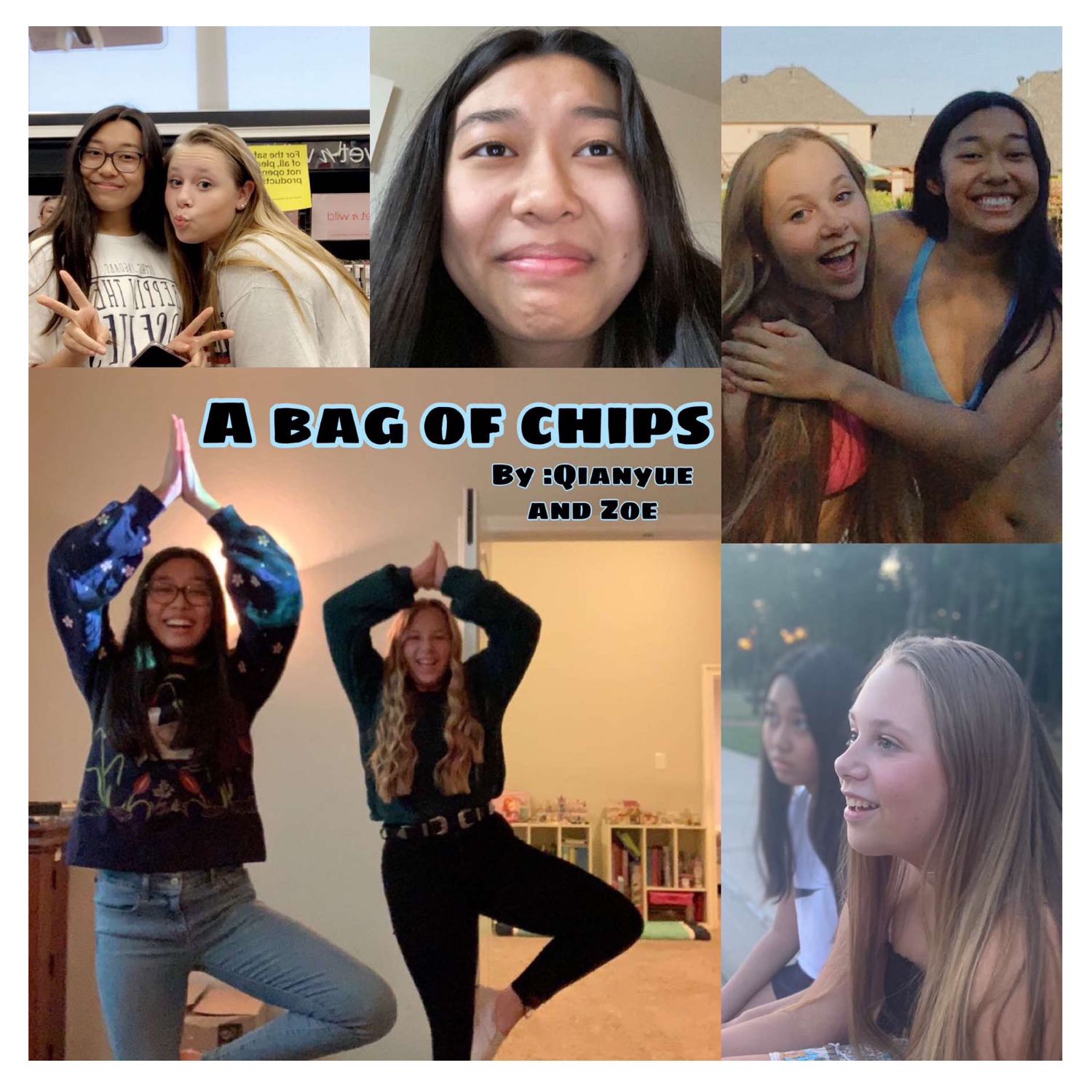 A Bag of Chips