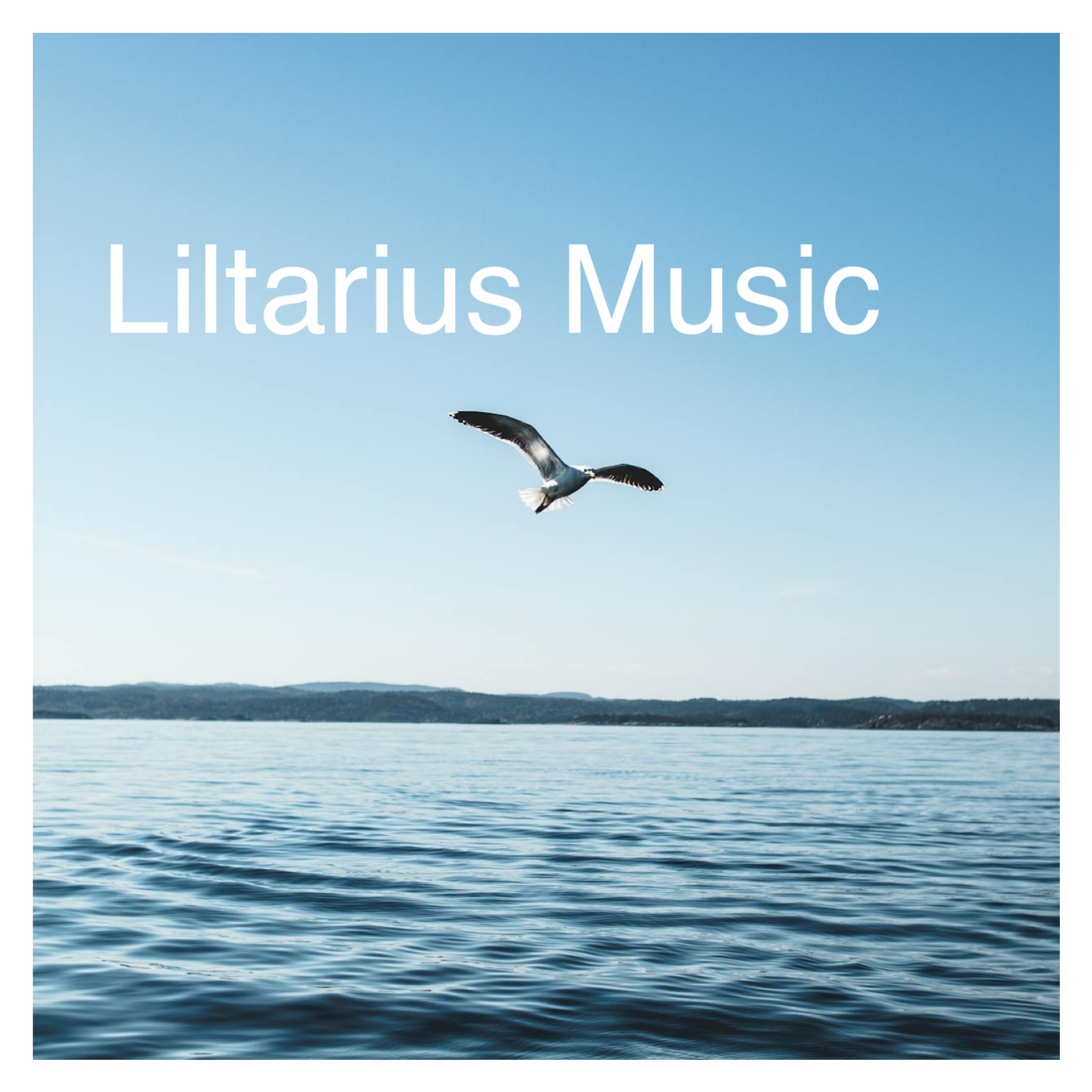 About artist Liltarius.