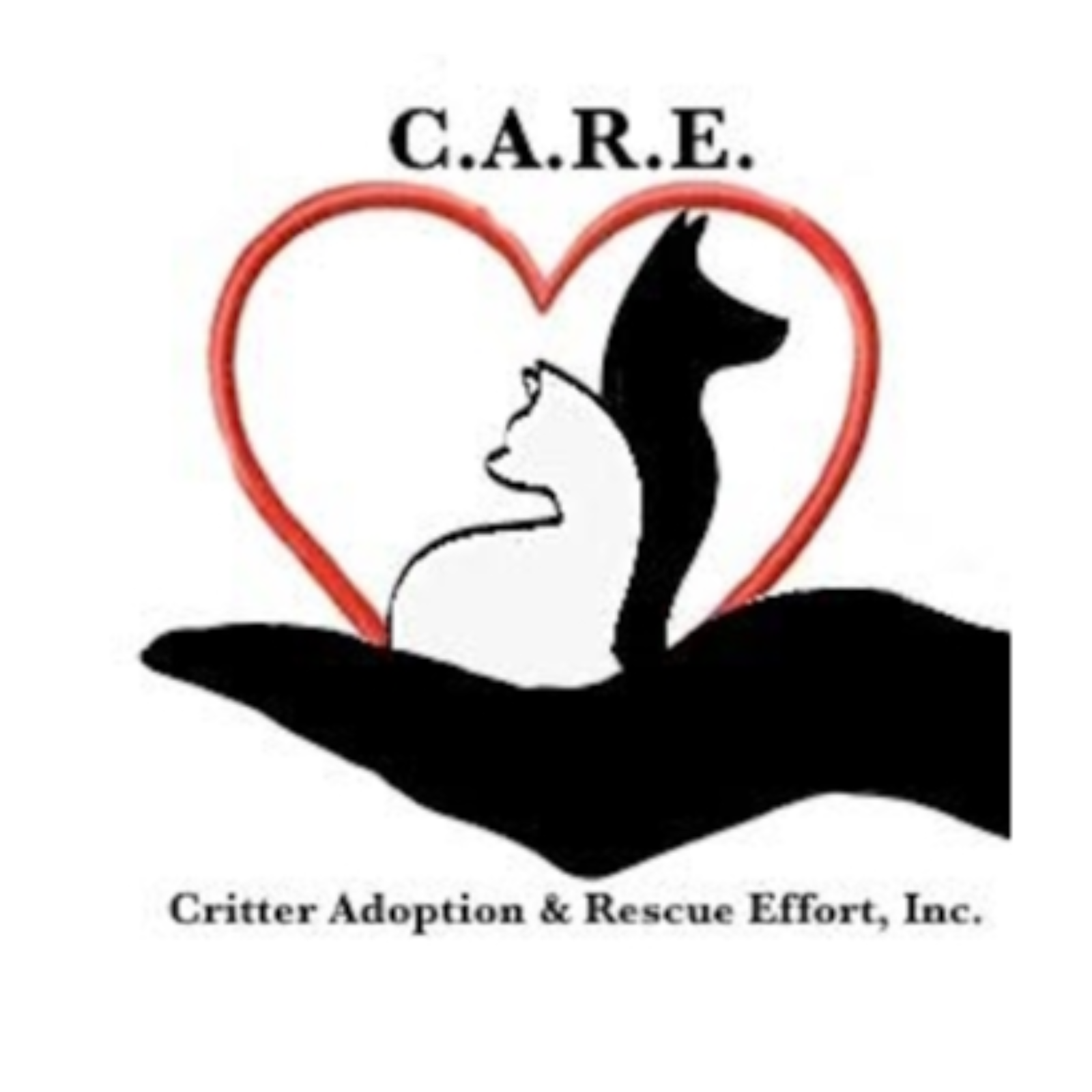 Cheri Schumacher, Volunteer Outreach Coordinator, C.A.R.E. The Critter Adoption & Rescue Effort episode artwork