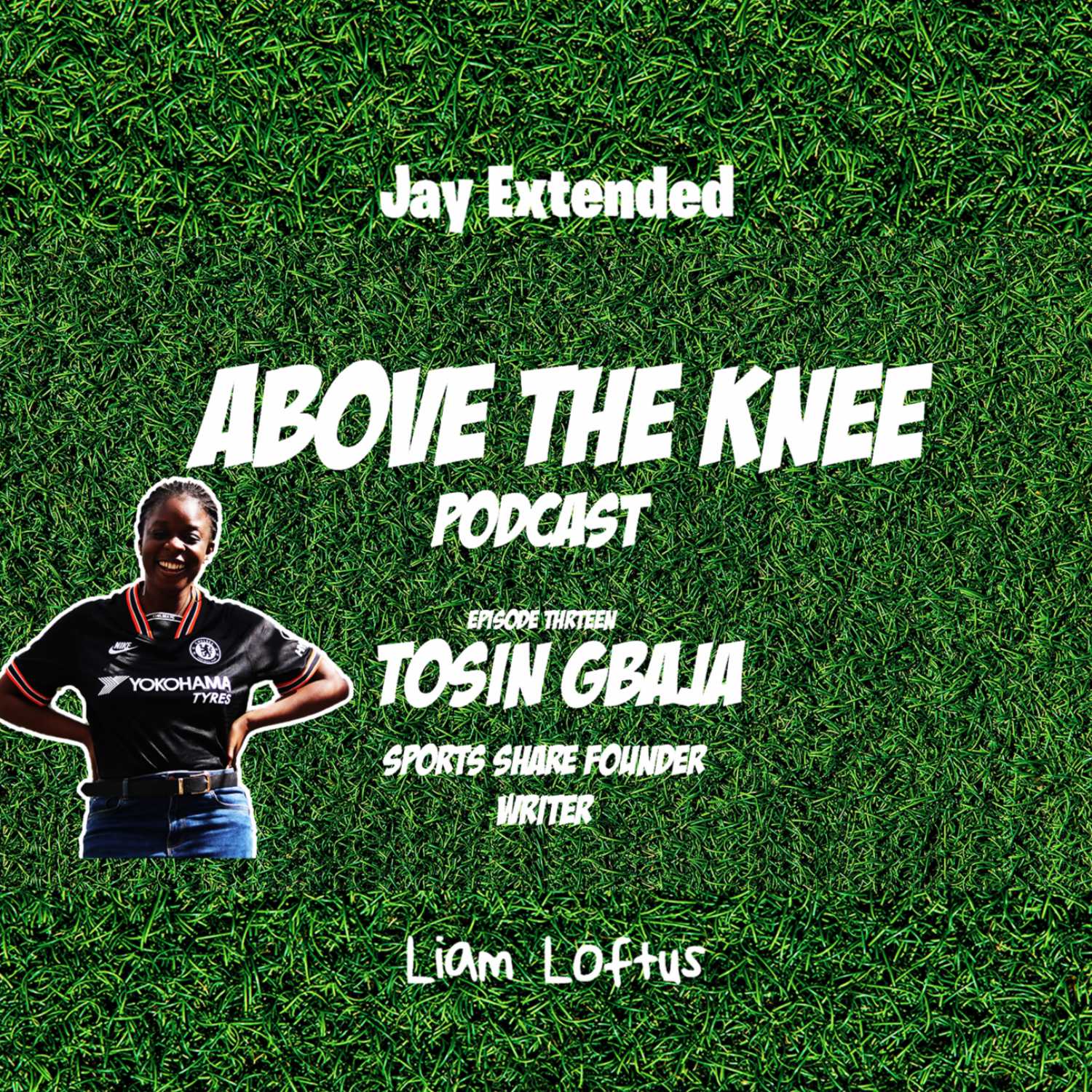 Above The Knee Podcast