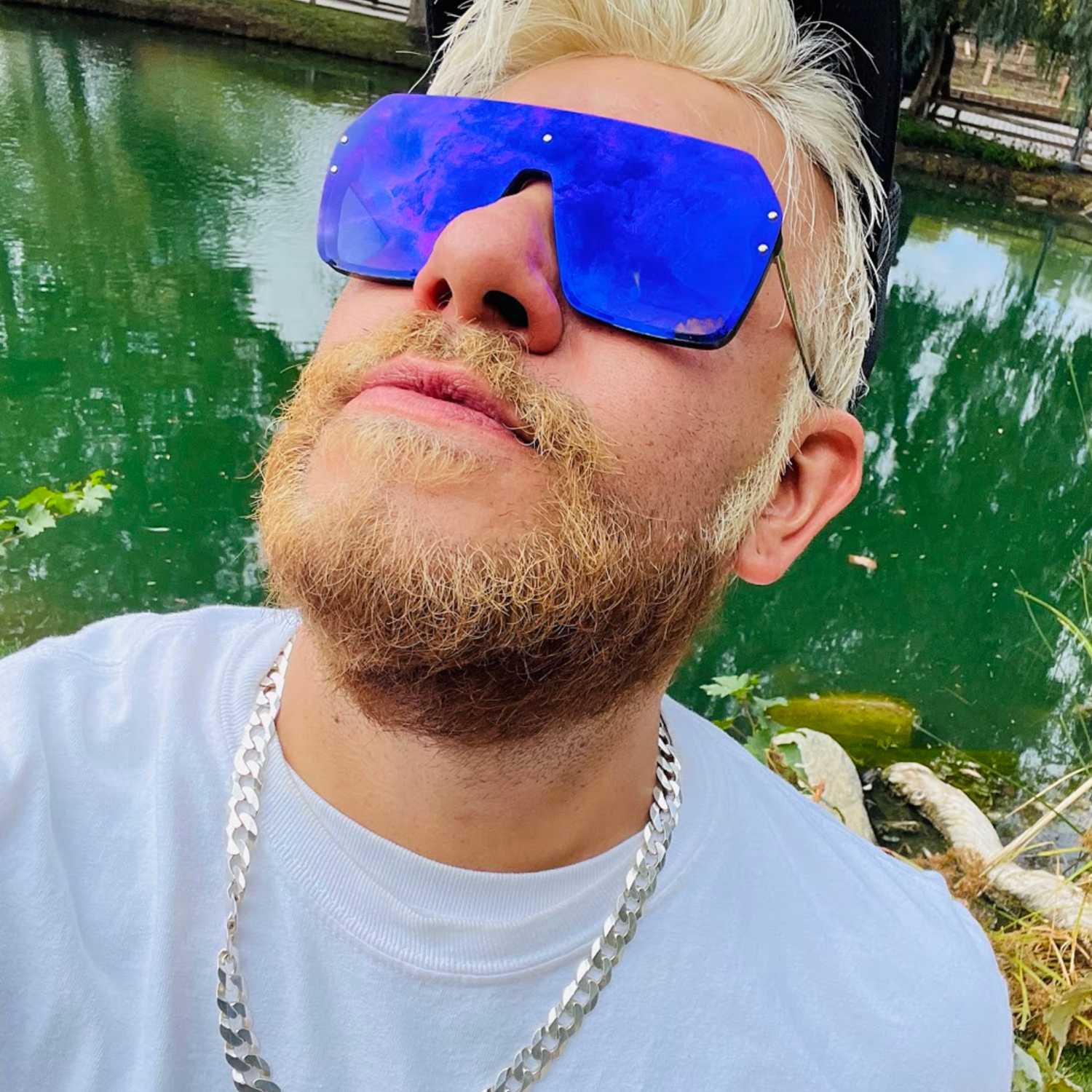 ABSOLUTELY FABULOUS ABEL