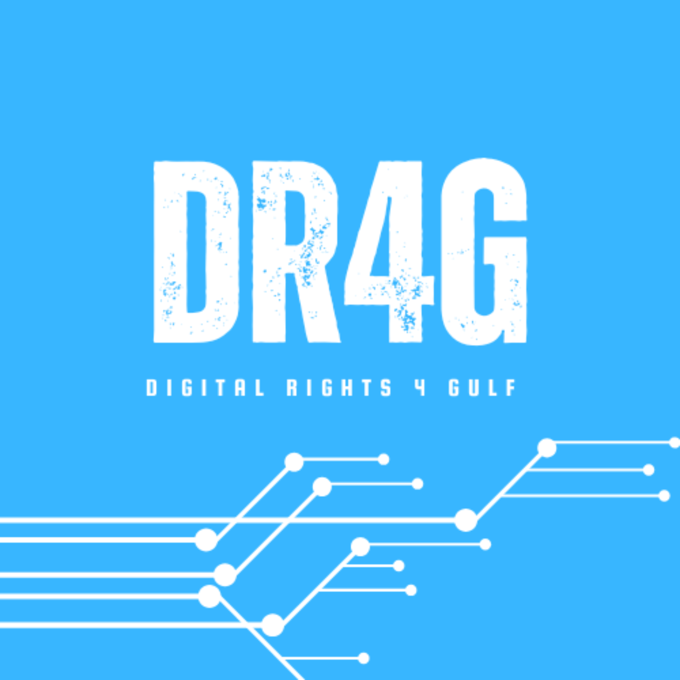 Access Denied: Stories of Digital Repression and Resistance in the Gulf