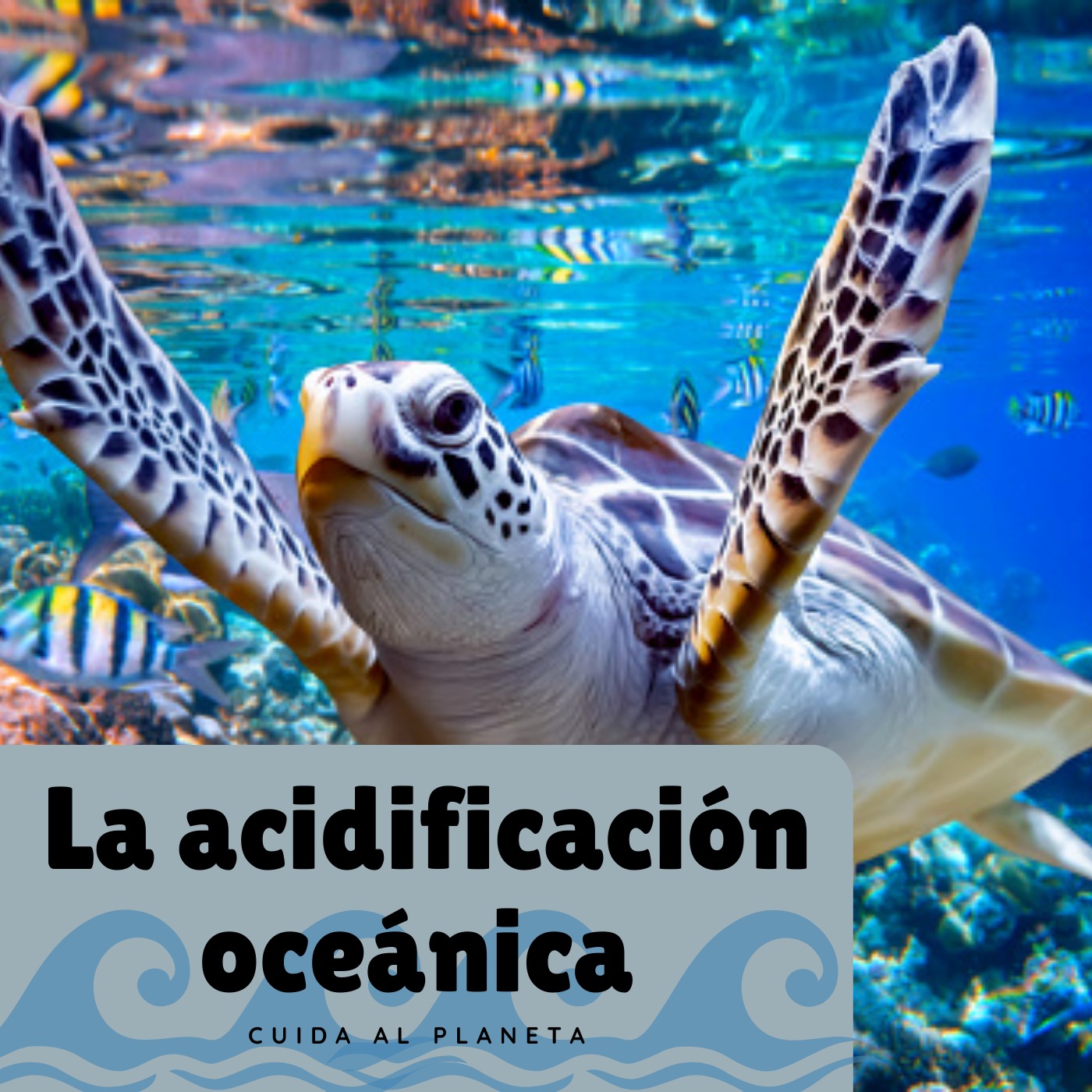 Acidificación Oceánica 