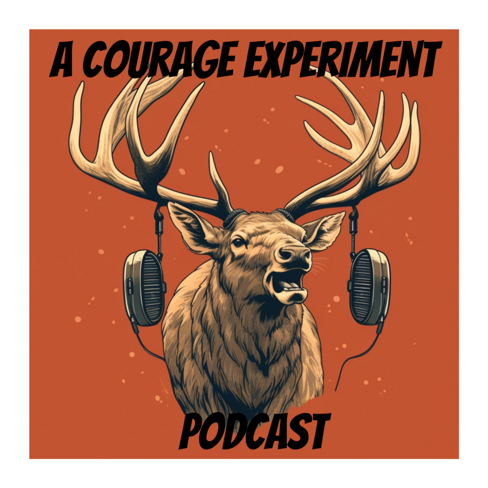 A Courage Experiment