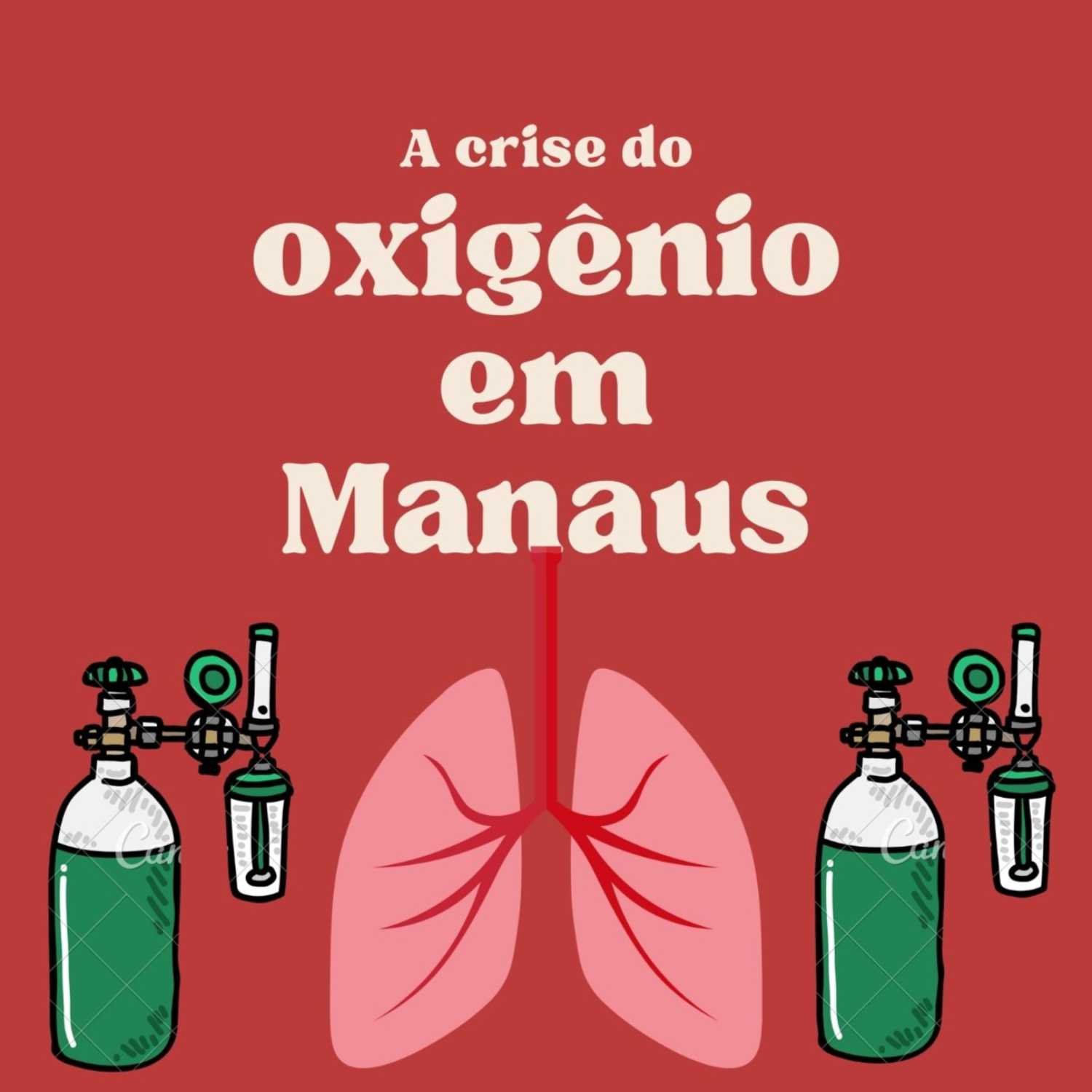 A crise do oxigênio em Manaus