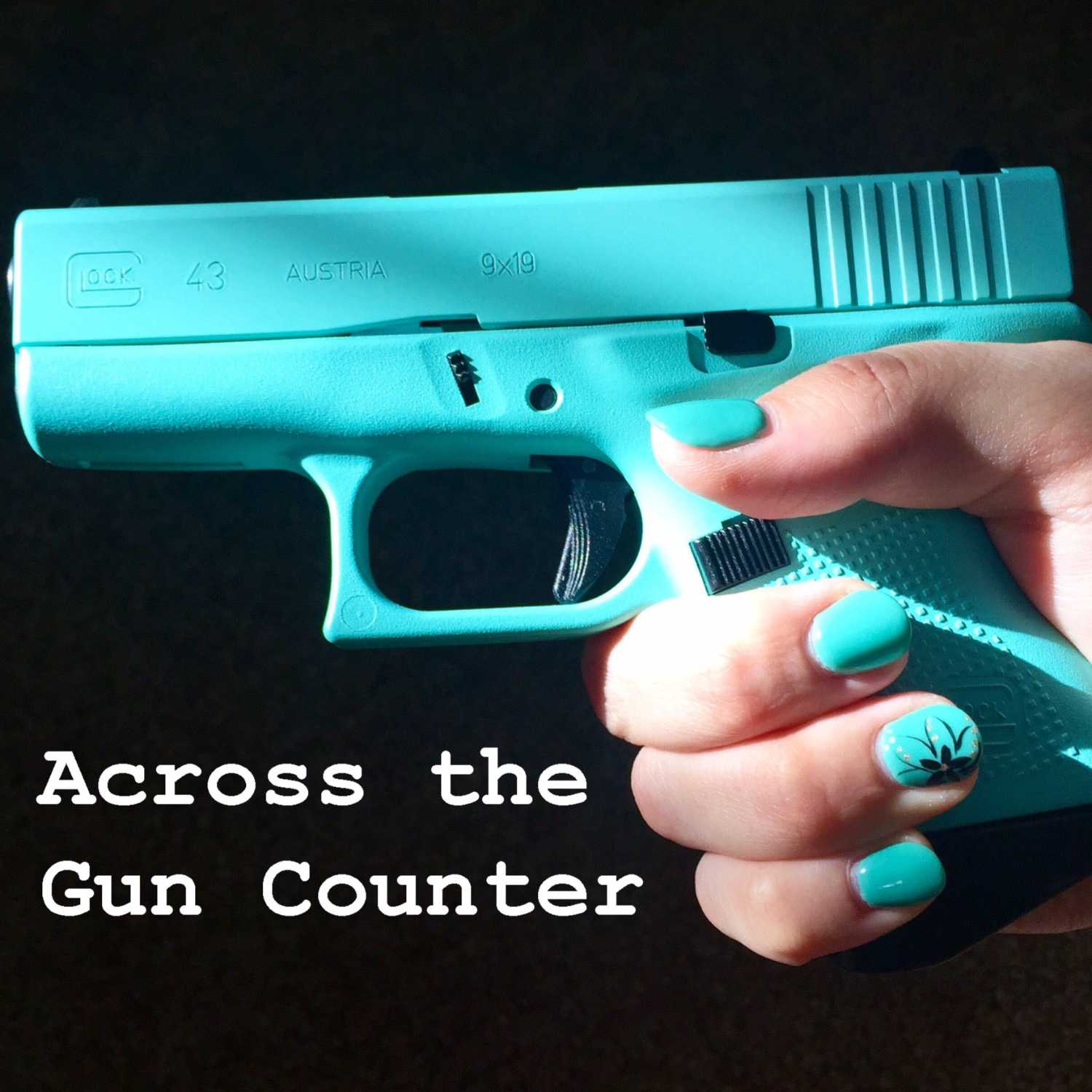 Across the Gun Counter
