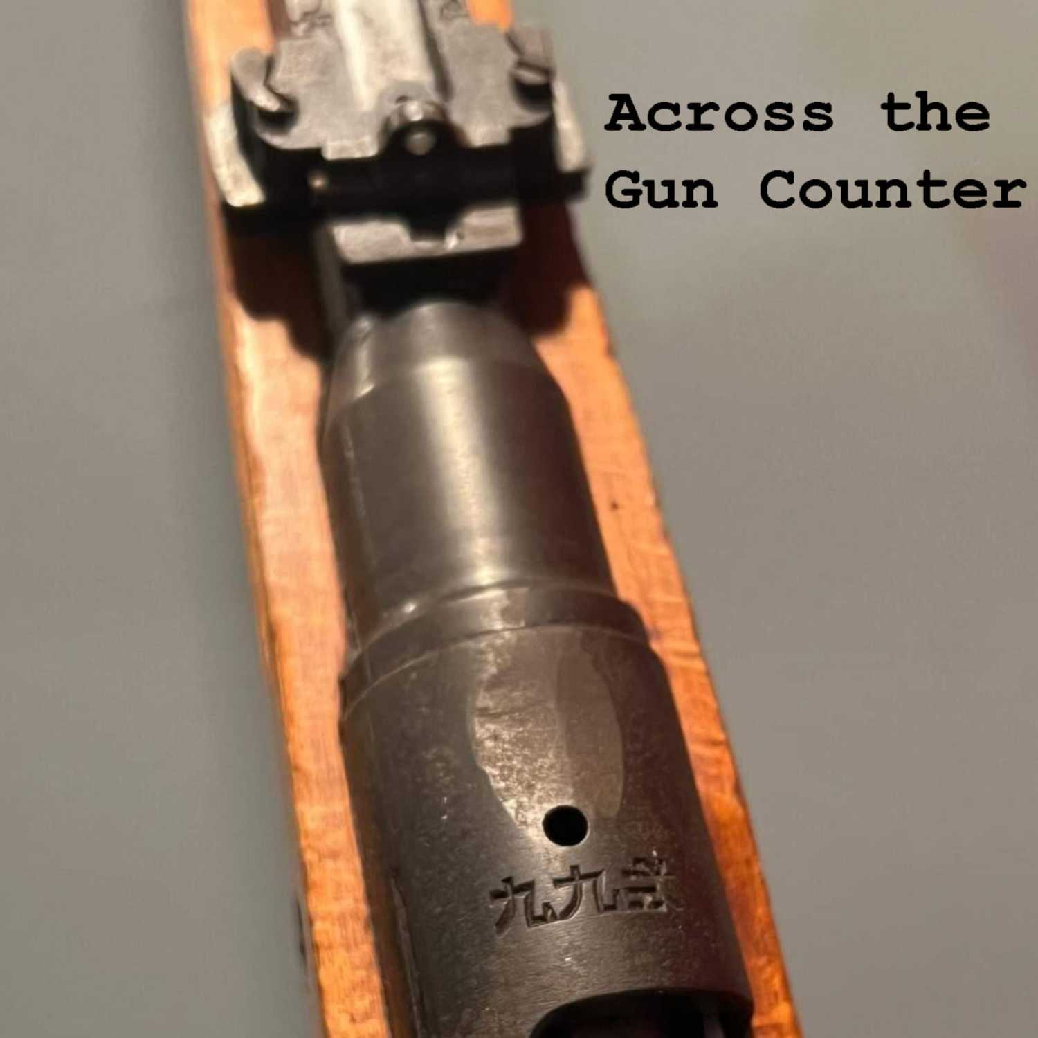 Across the Gun Counter