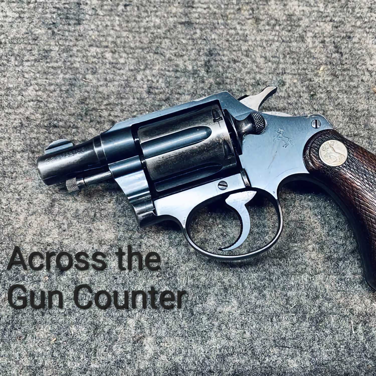 Across the Gun Counter