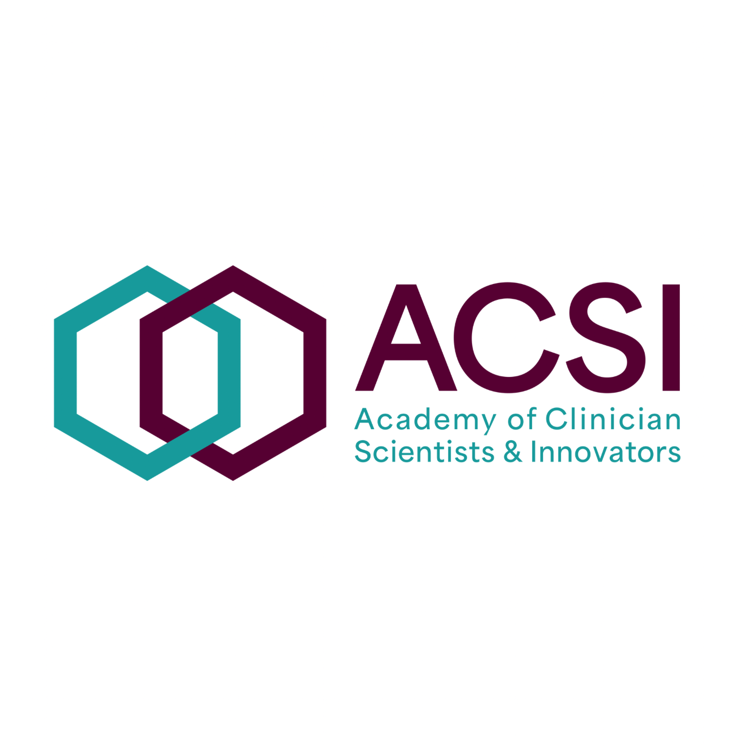 The ACSI Podcast