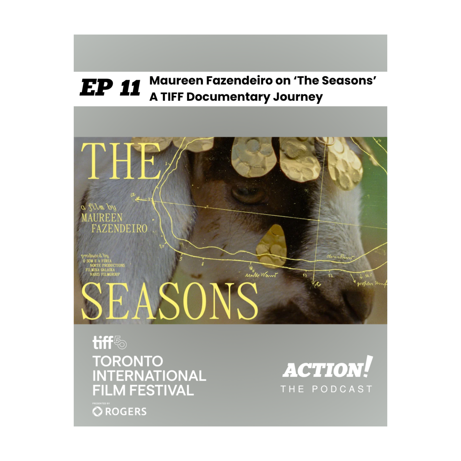 Episode 11: Maureen Fazendeiro on The Seasons – A TIFF Documentary Journey episode artwork