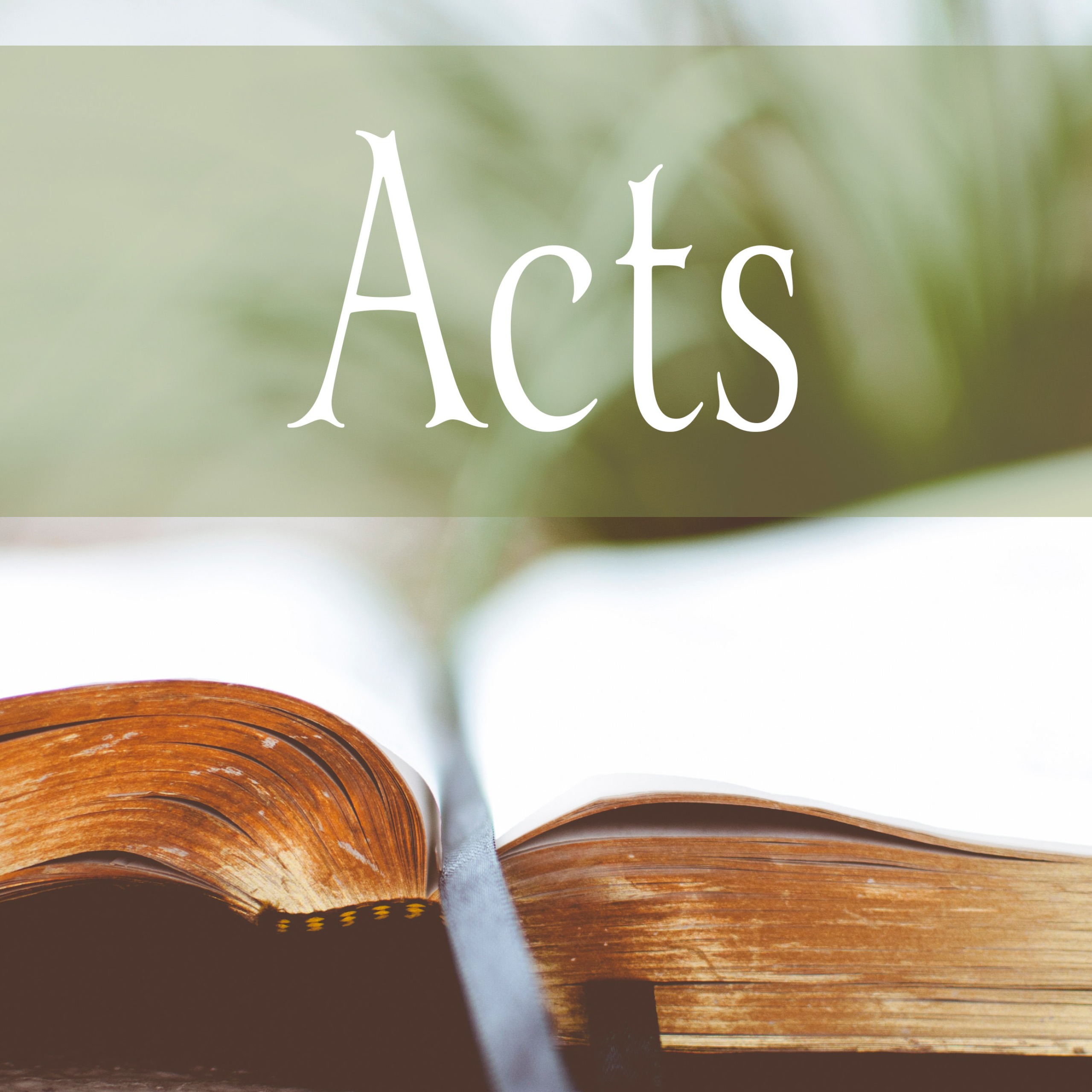 Acts 8:26-40