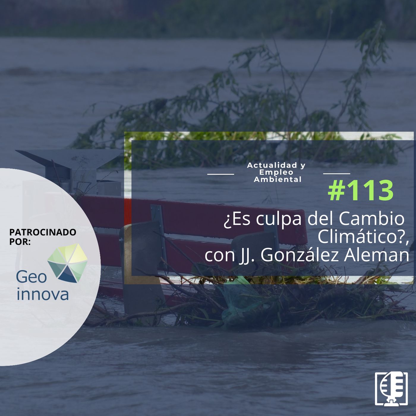 Actualidad y Empleo Ambiental