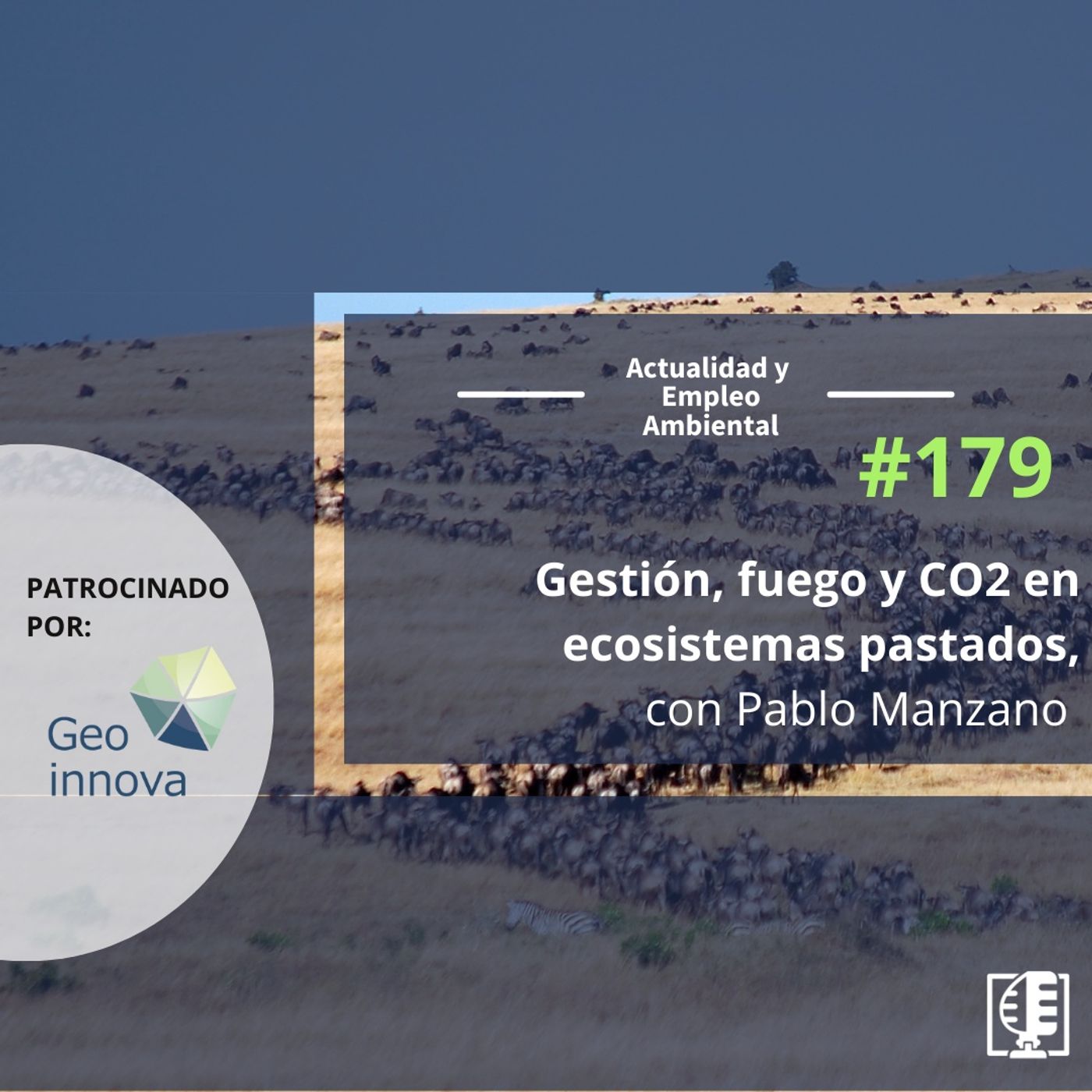 Actualidad y Empleo Ambiental