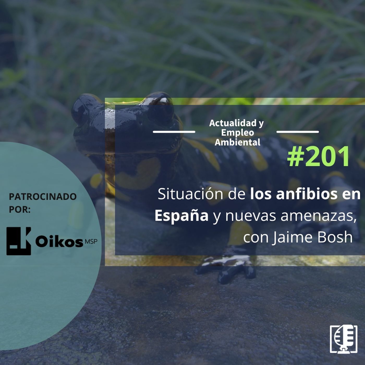 Situación de los anfibios en España y nuevas amenazas, con Jaime Bosch #201