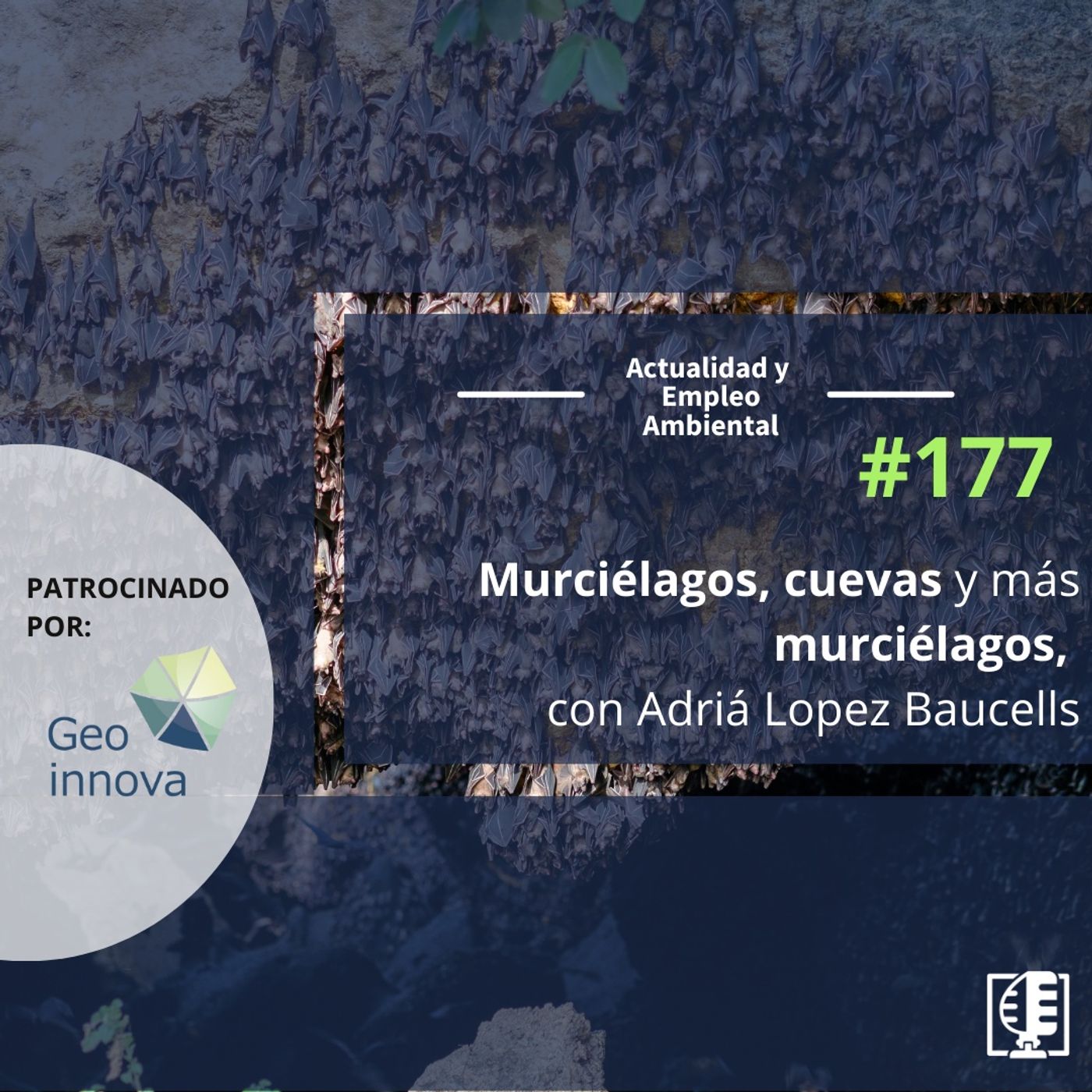 Actualidad y Empleo Ambiental
