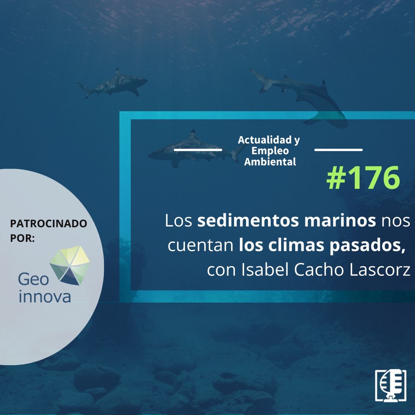 Actualidad y Empleo Ambiental