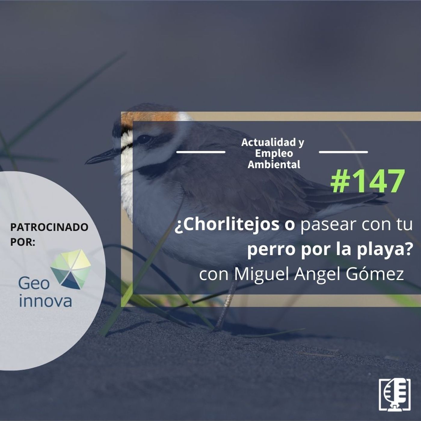 Actualidad y Empleo Ambiental