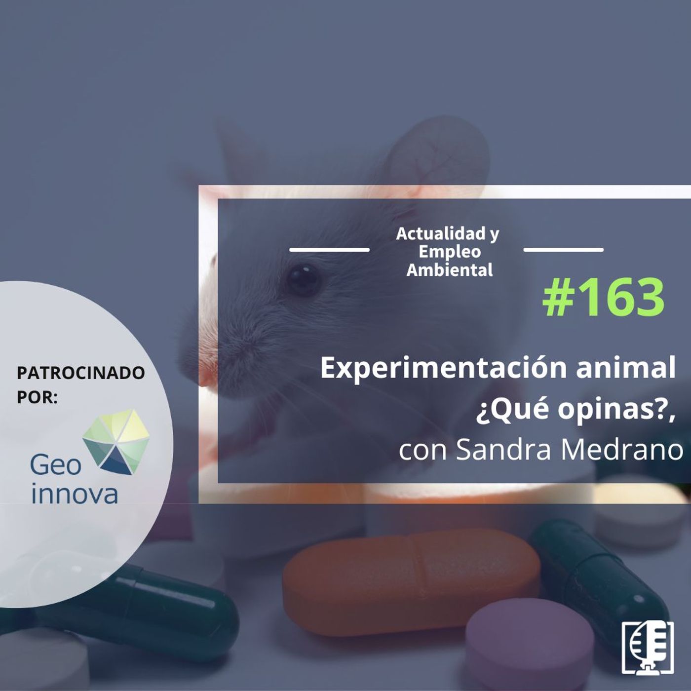 Actualidad y Empleo Ambiental
