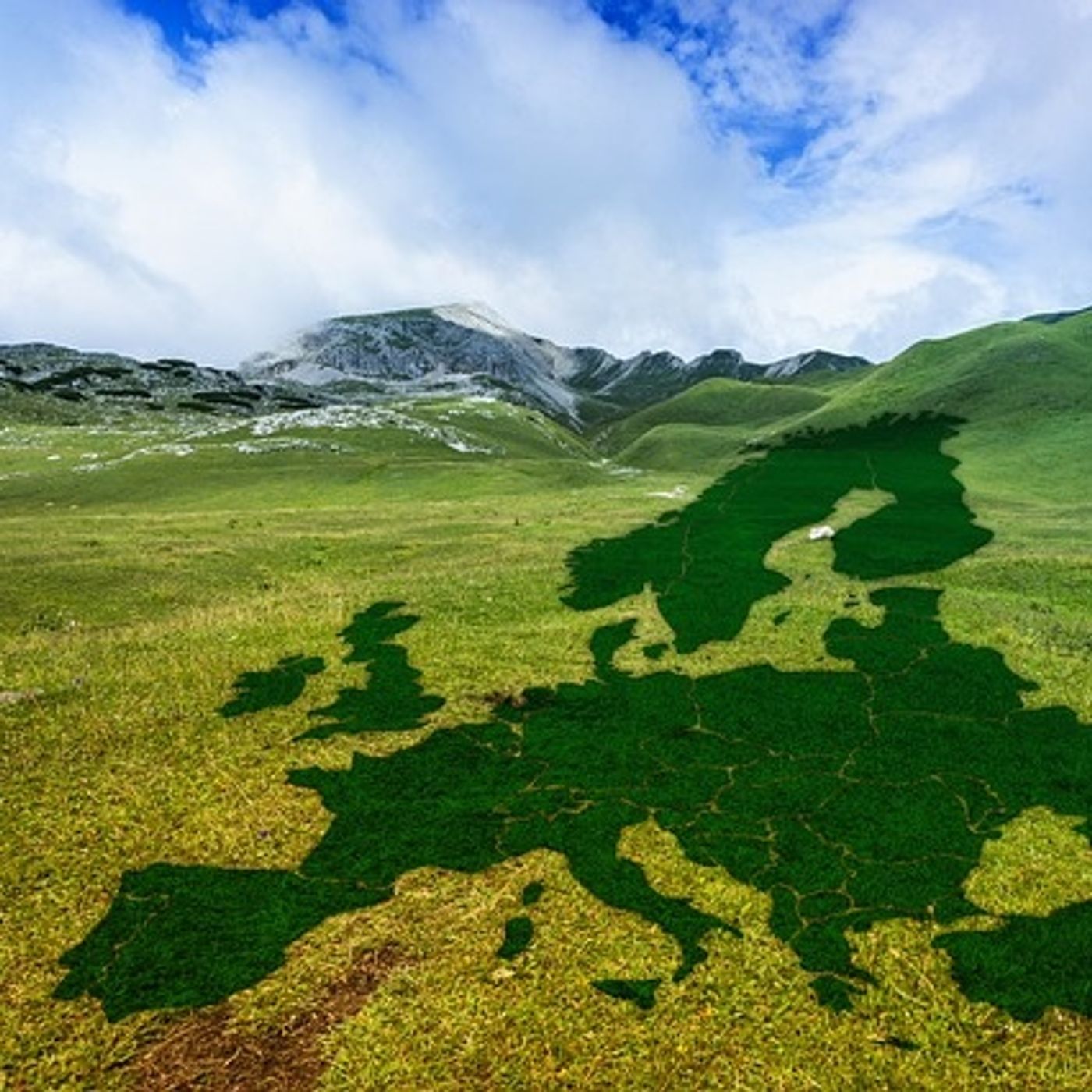 Aprovechar una pequeña financiación para testar un proyecto, con Esporánea | Actualidad y Empleo Ambiental #57