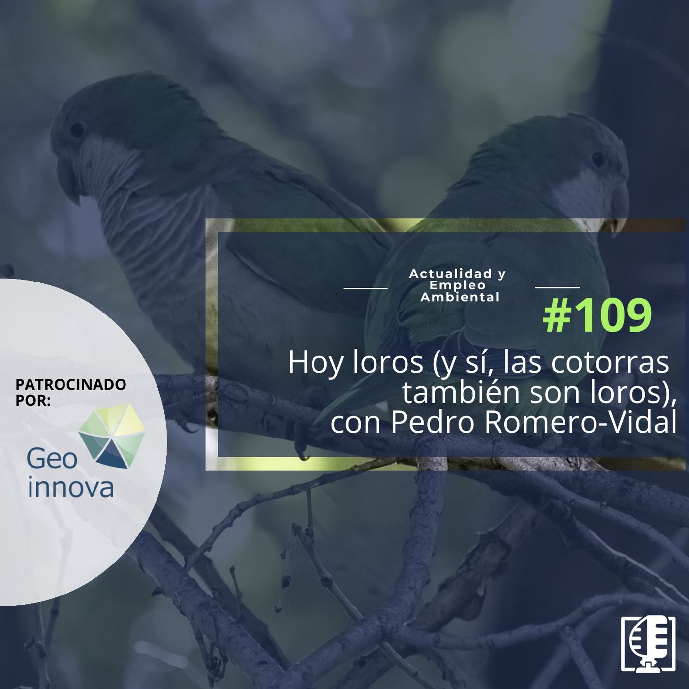 Actualidad y Empleo Ambiental