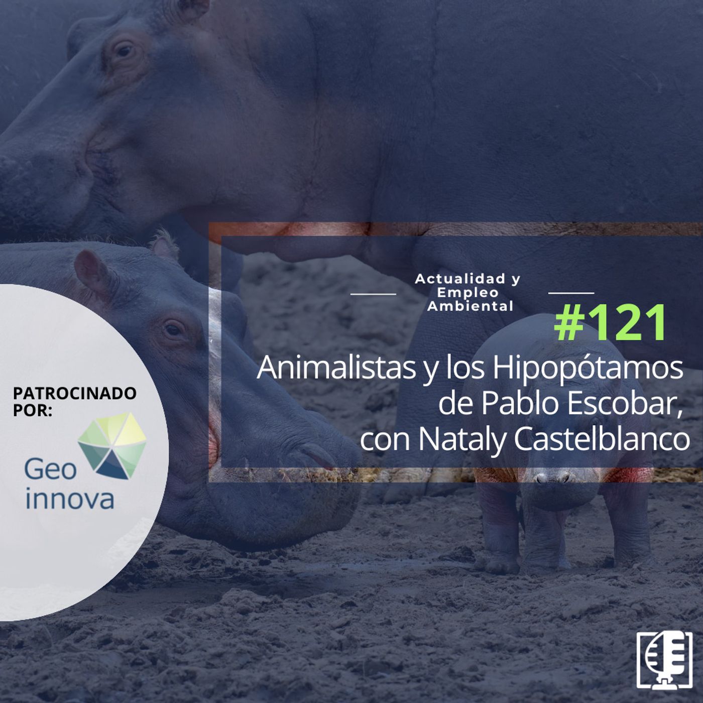 Actualidad y Empleo Ambiental