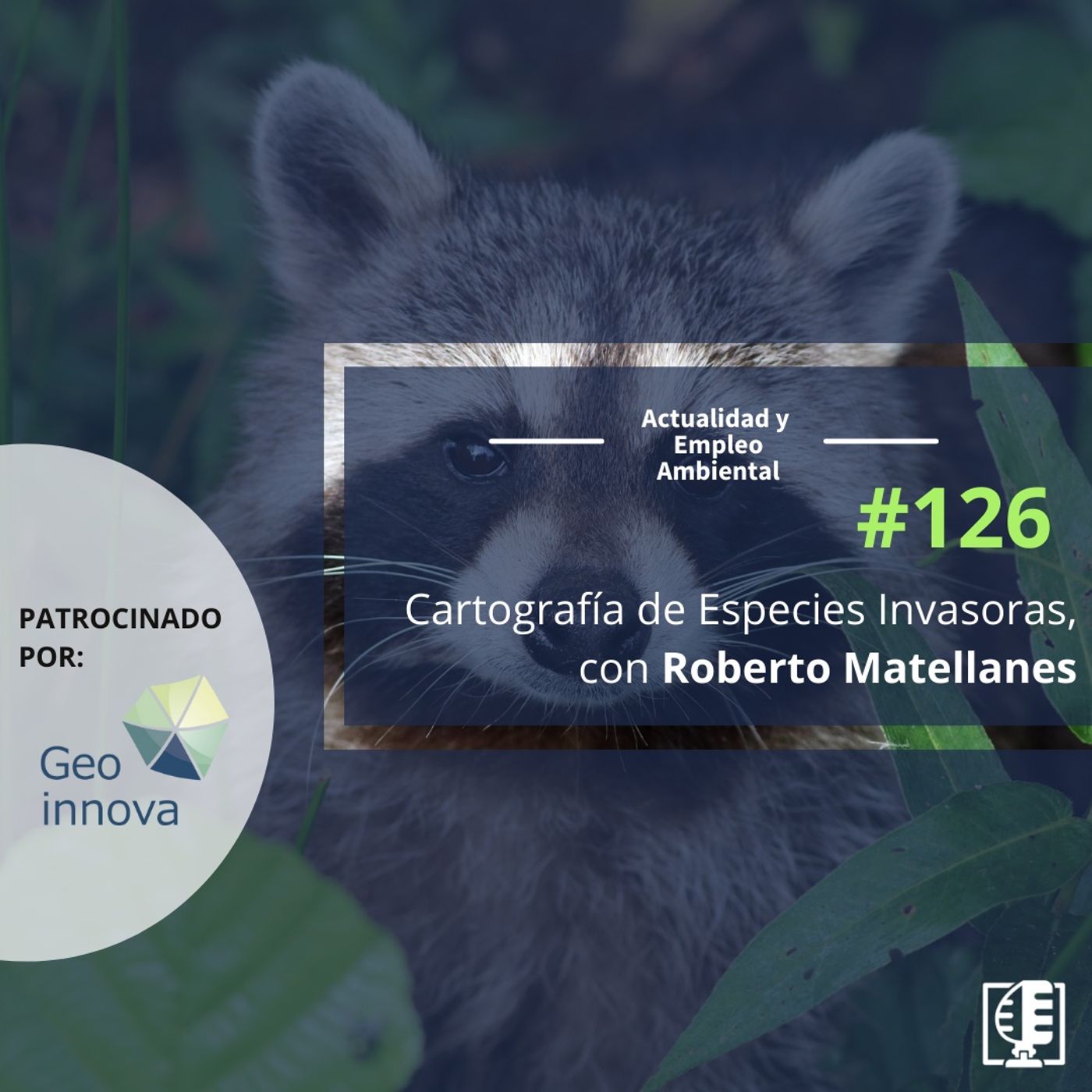 Actualidad y Empleo Ambiental