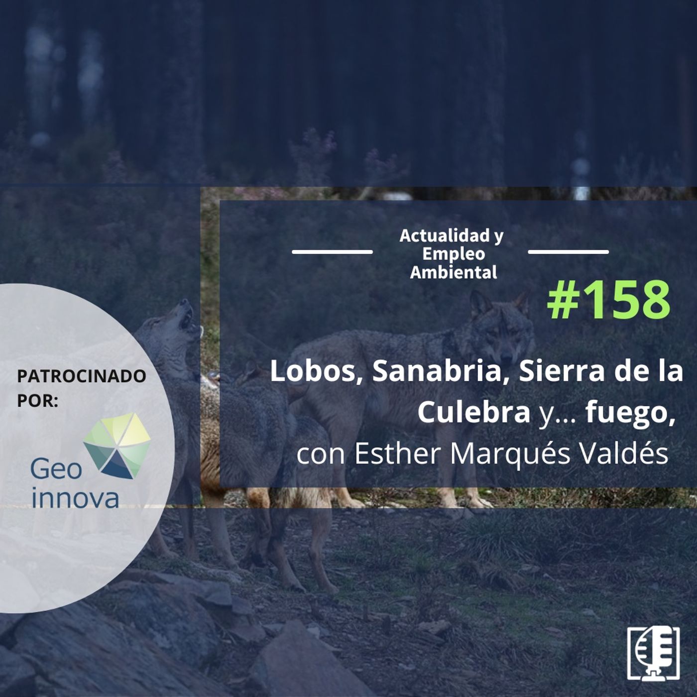 Actualidad y Empleo Ambiental