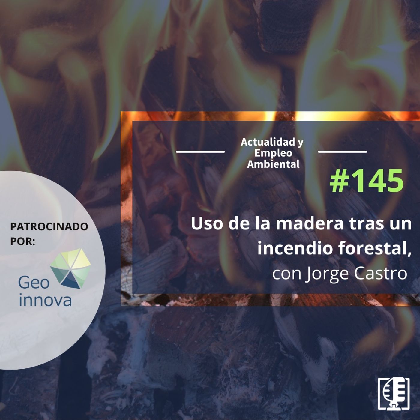 Actualidad y Empleo Ambiental