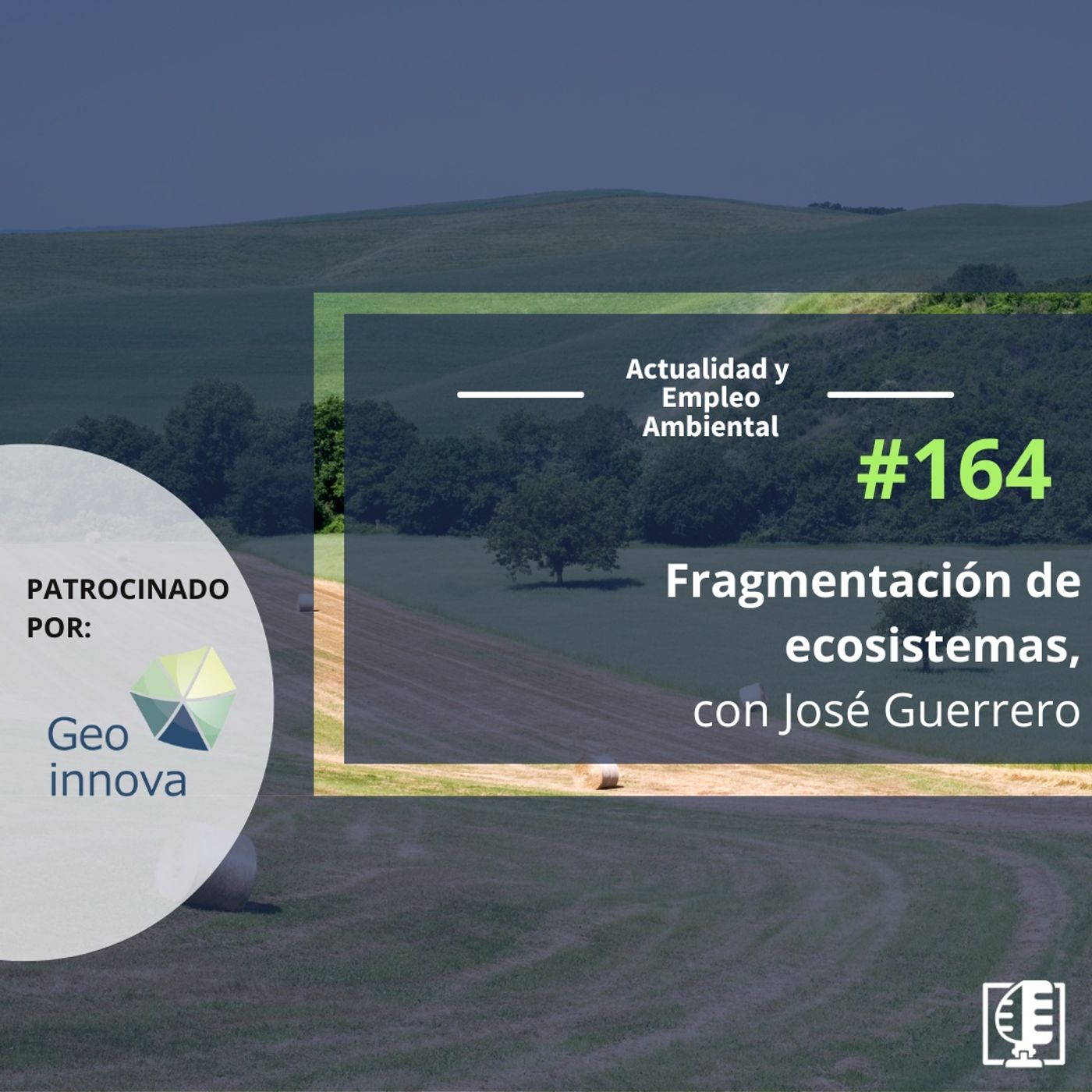 Actualidad y Empleo Ambiental