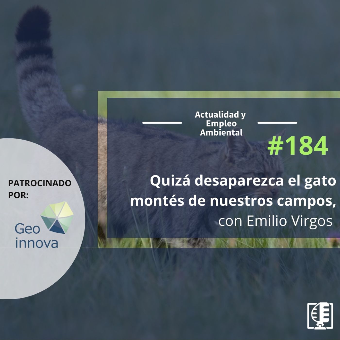 Quizá desaparezca el Gato Montés de nuestros campos, con Emilio Virgos #184