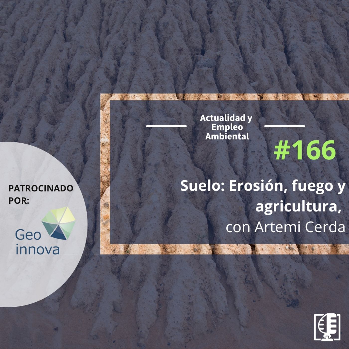 Actualidad y Empleo Ambiental