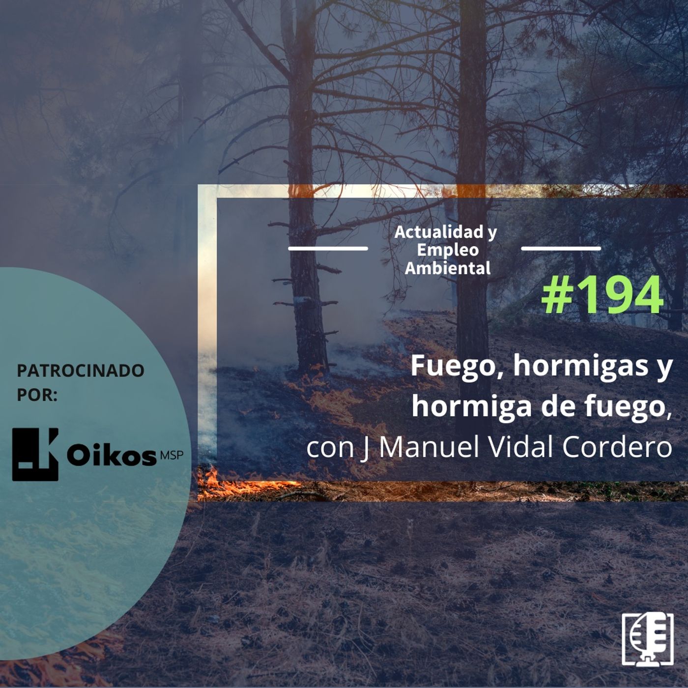 Actualidad y Empleo Ambiental