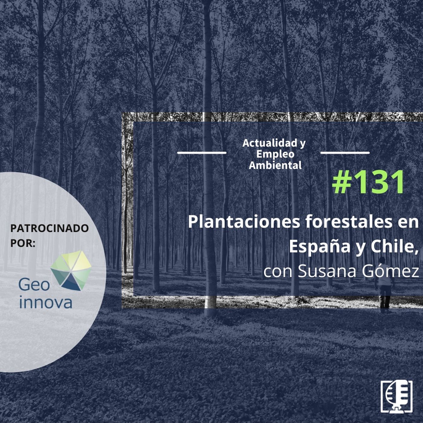 Actualidad y Empleo Ambiental