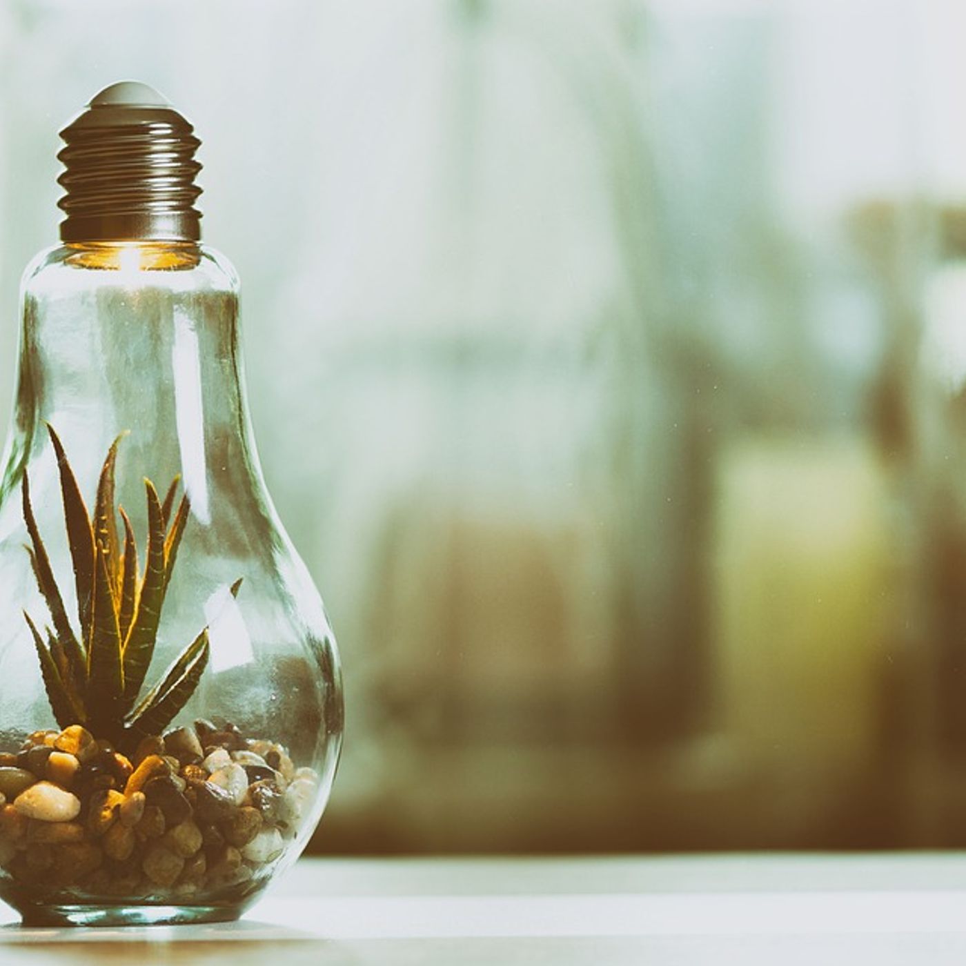 Como el confinamiento para los proyectos ambientales, con Sara Pinto | Actualidad y Empleo Ambiental #50