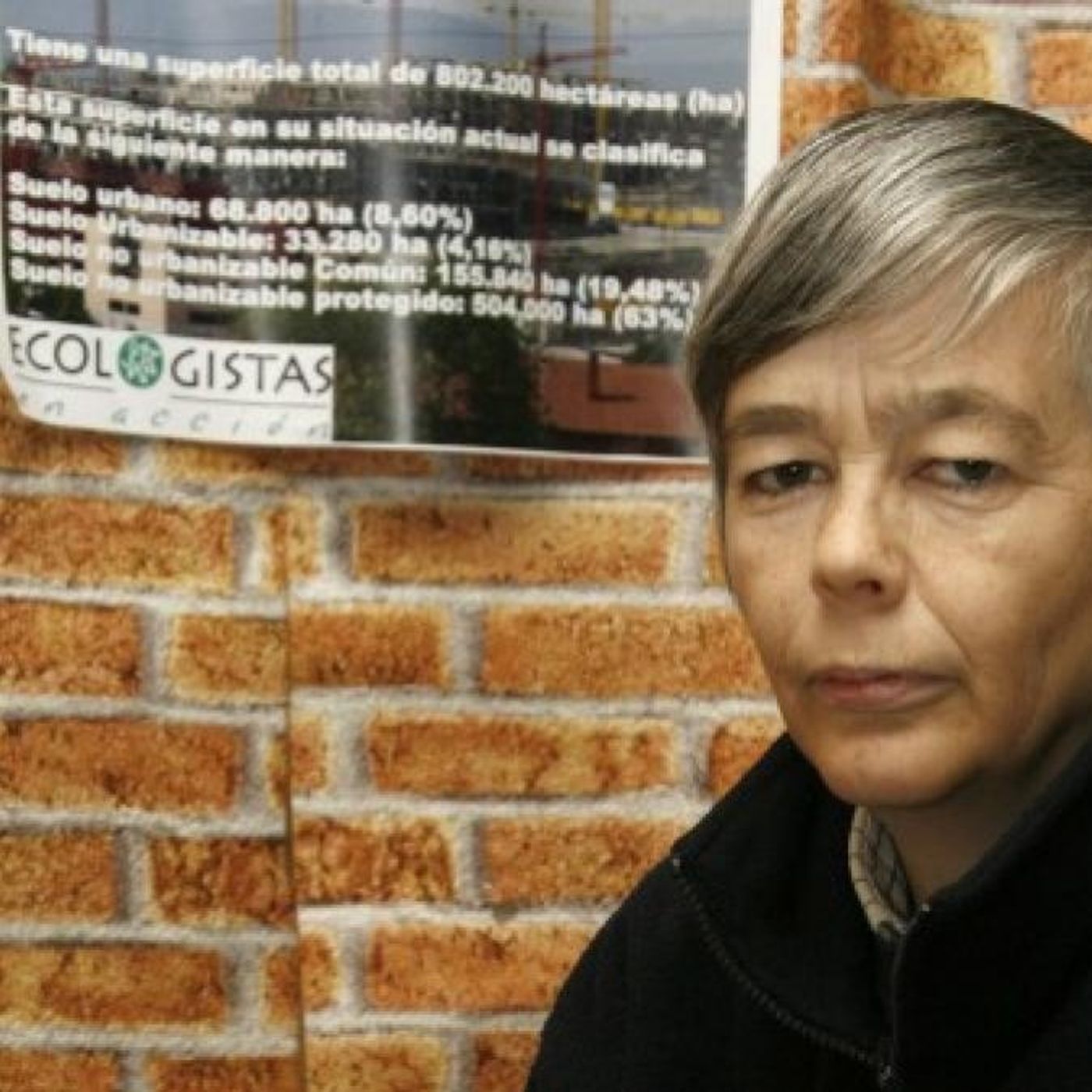 Actualidad y Empleo Ambiental